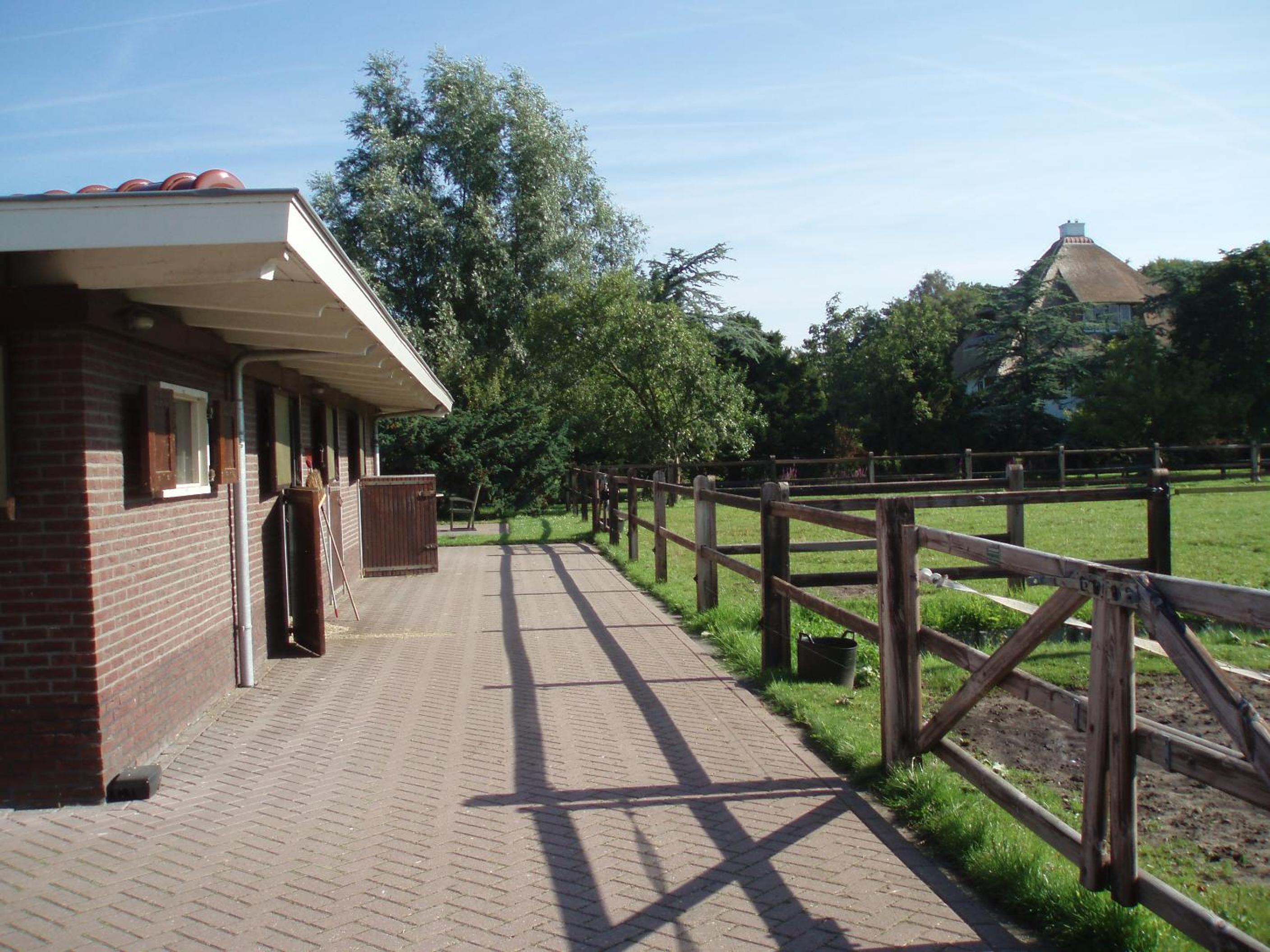 Photo 20