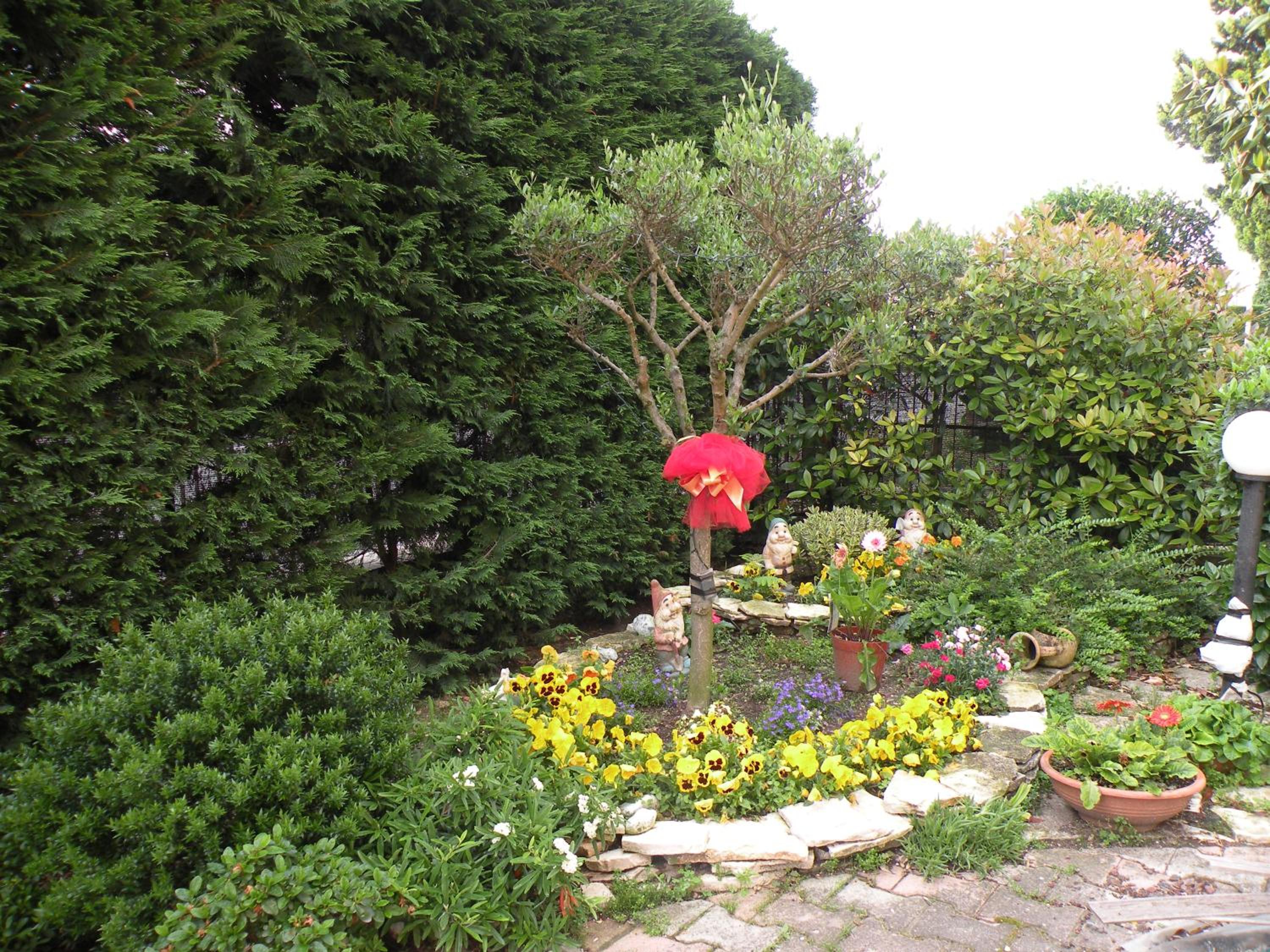 Photo 38