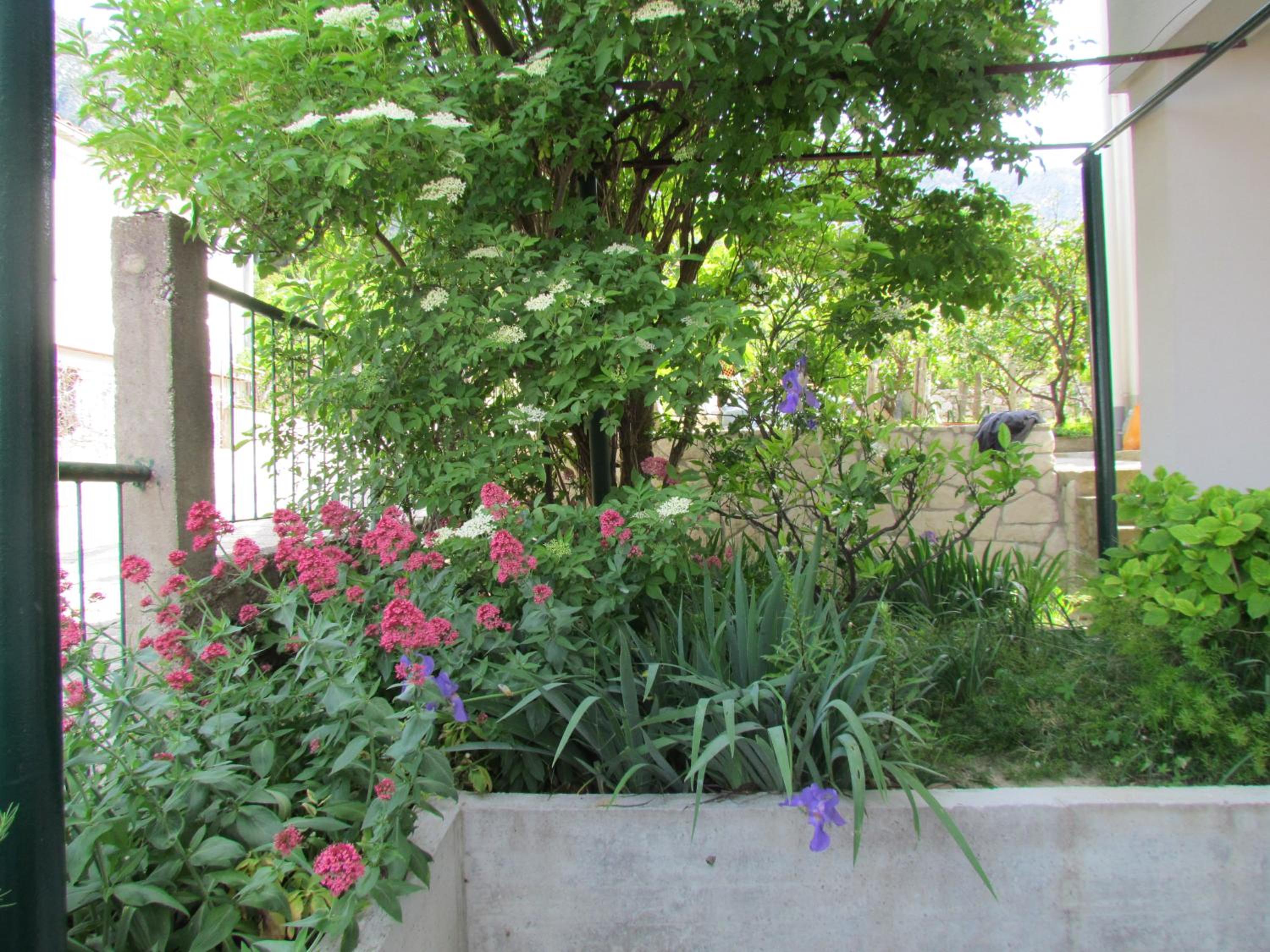 Photo 46