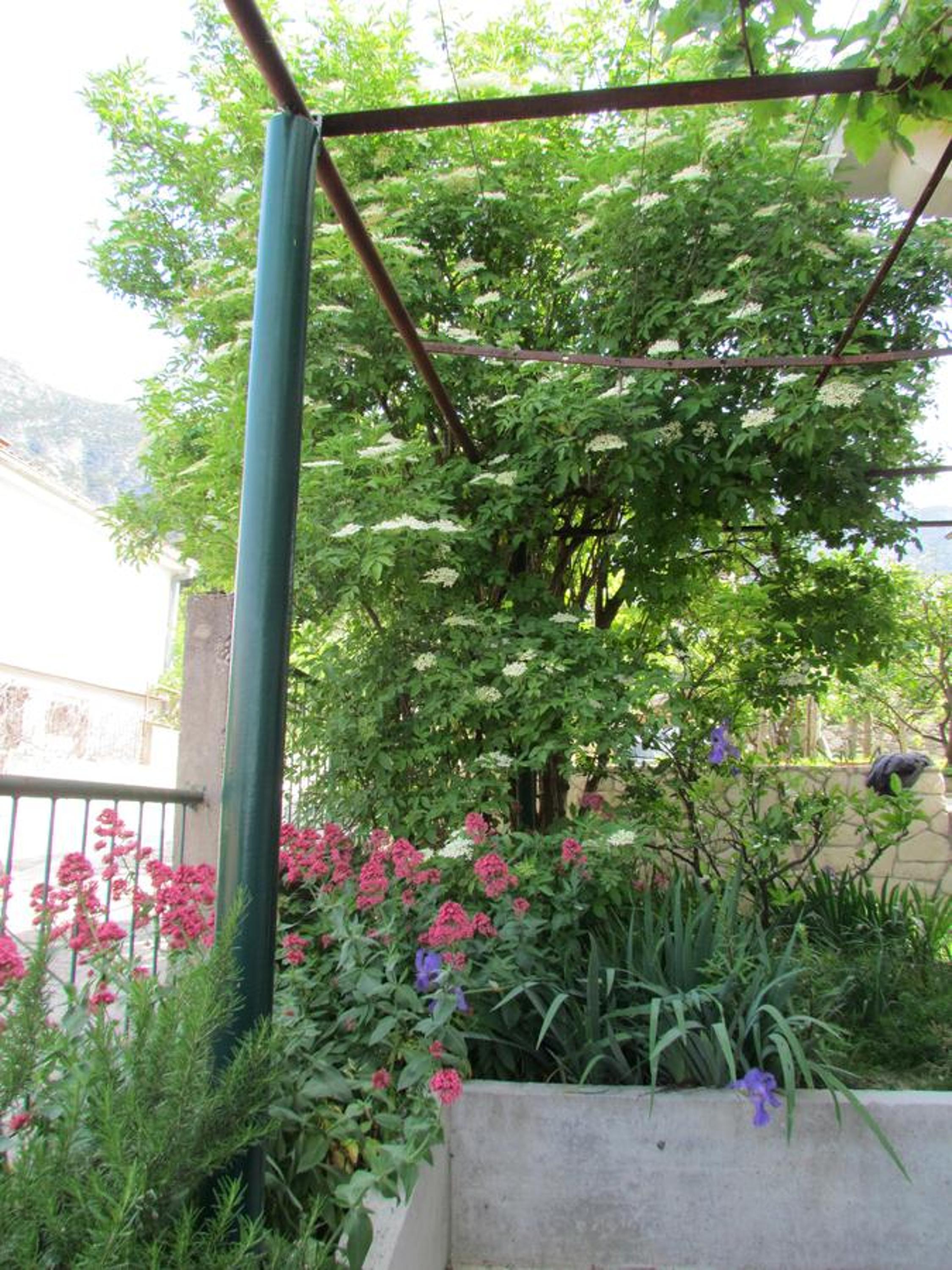 Photo 47