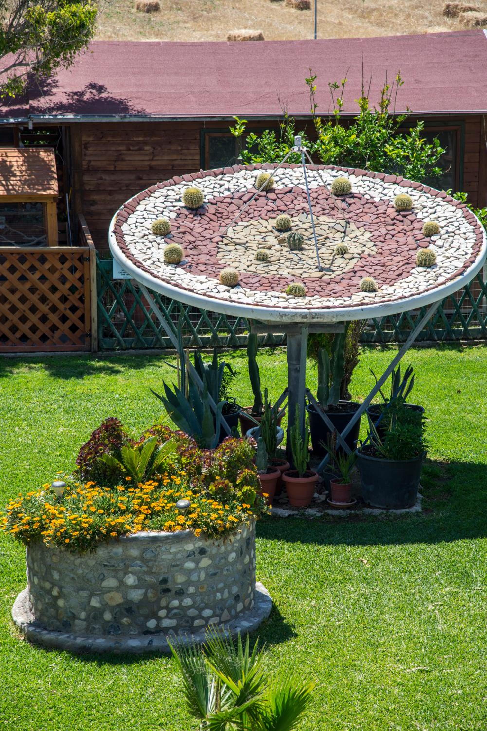 garden