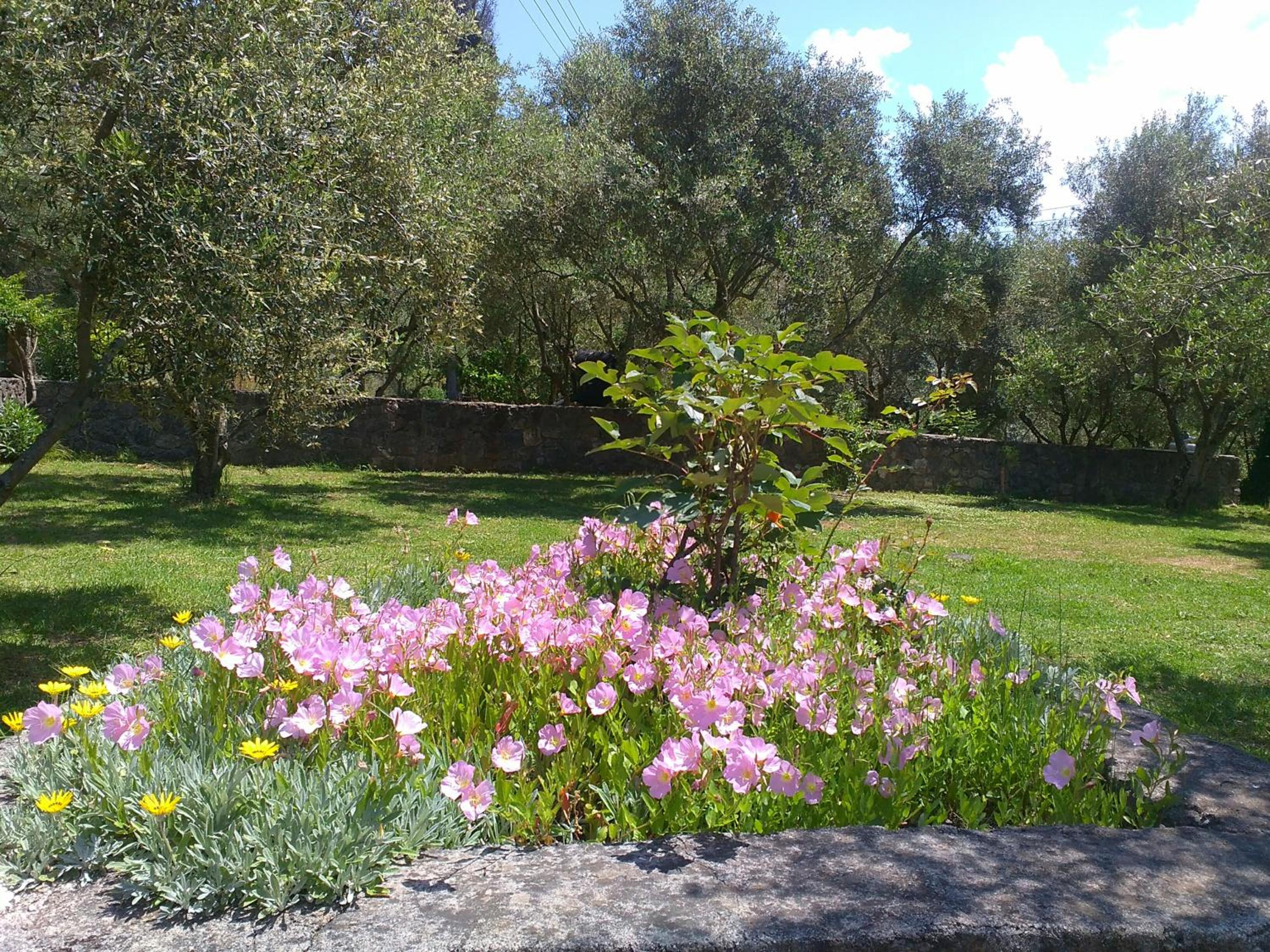 Photo 37
