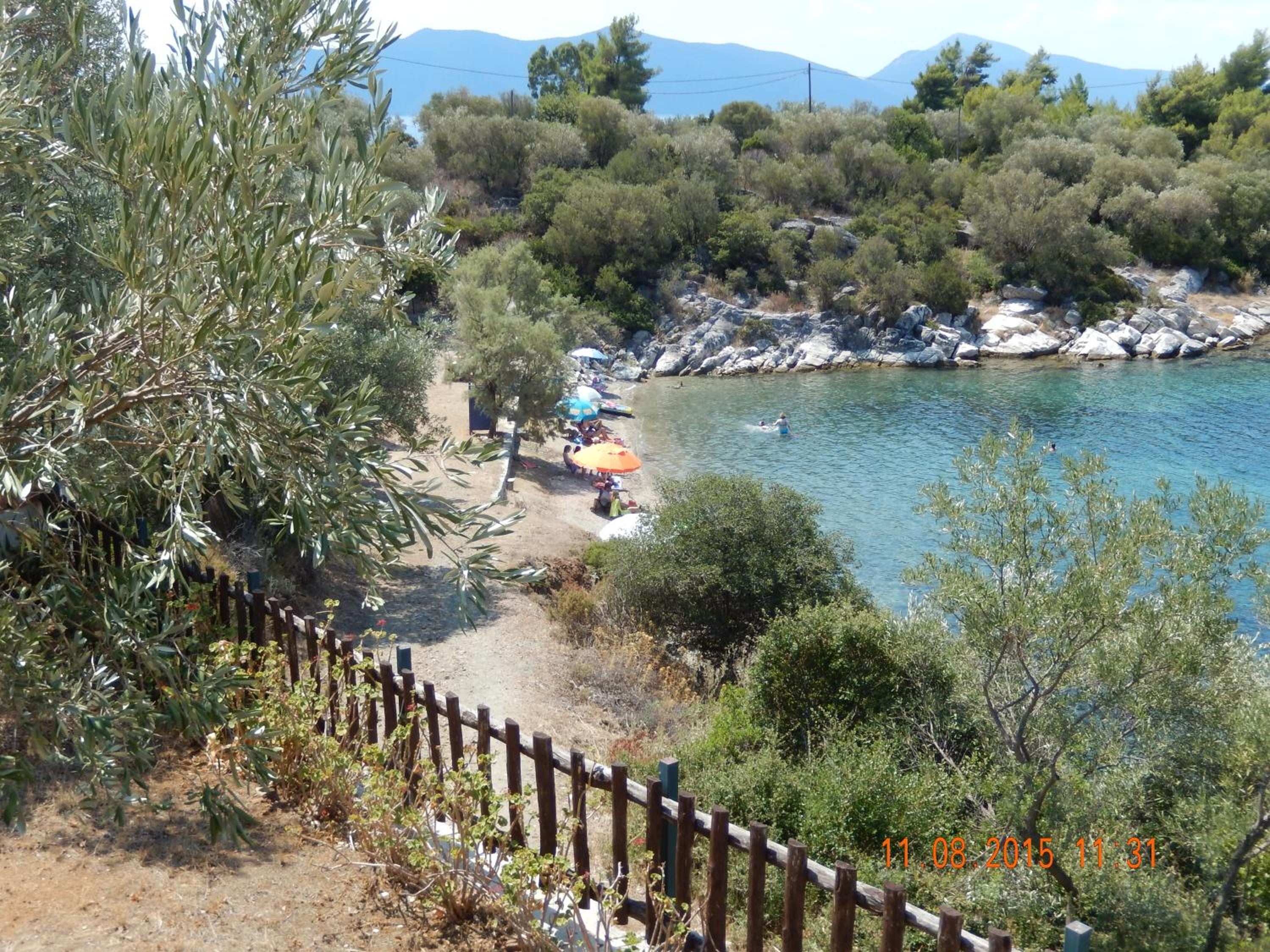 Photo 7