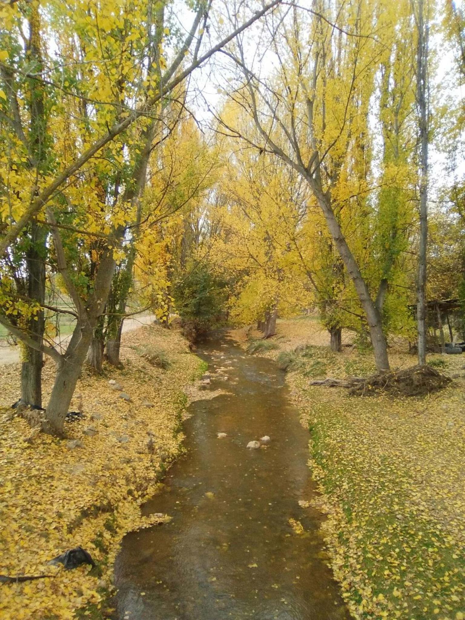 Photo 32