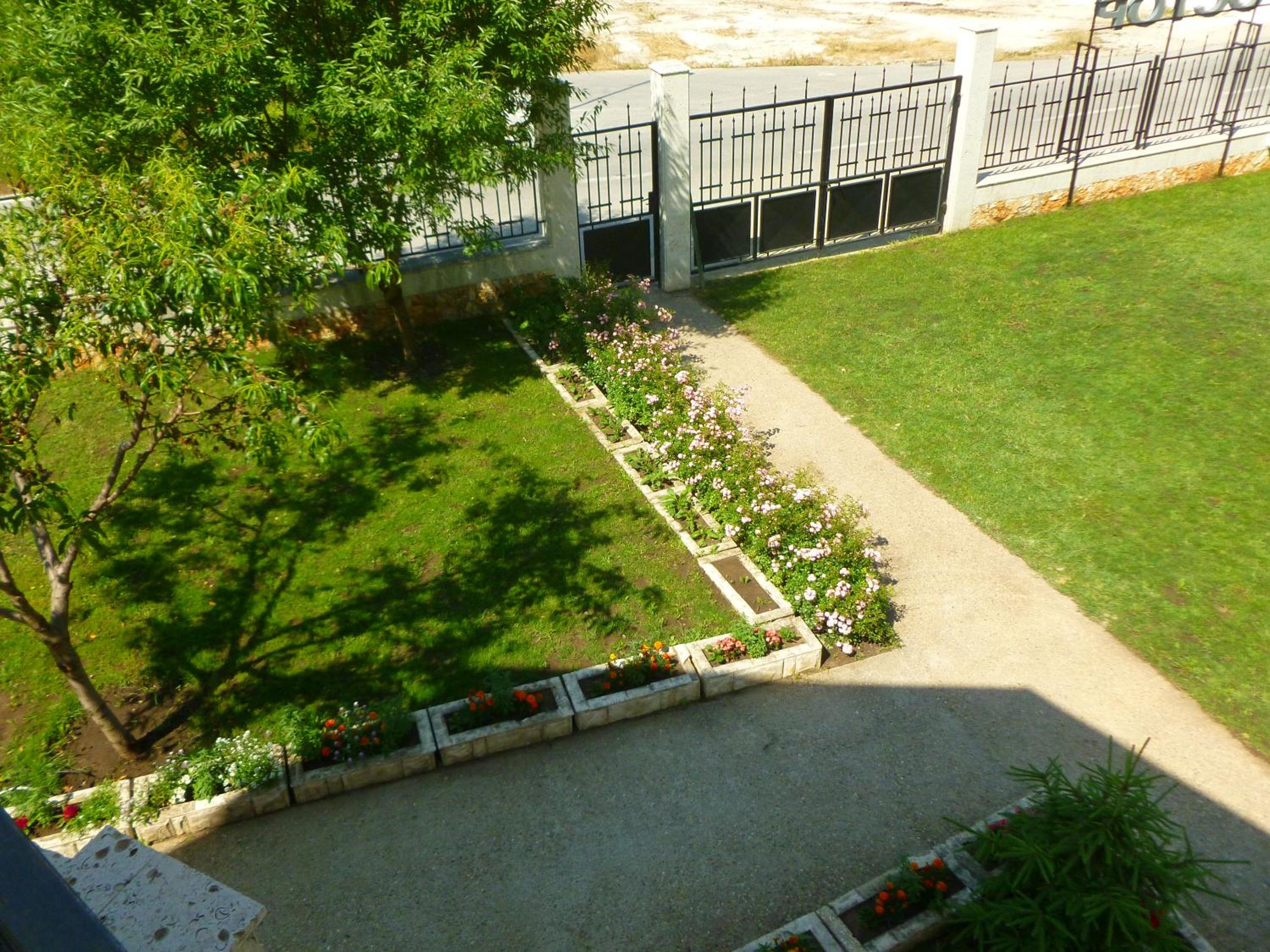 garden