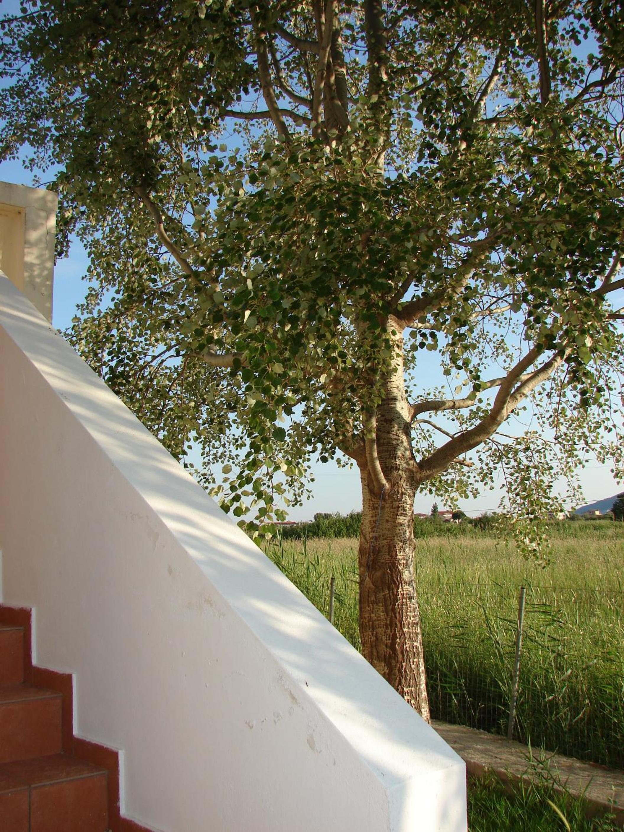 Naftilos Rosmarinus Apartments