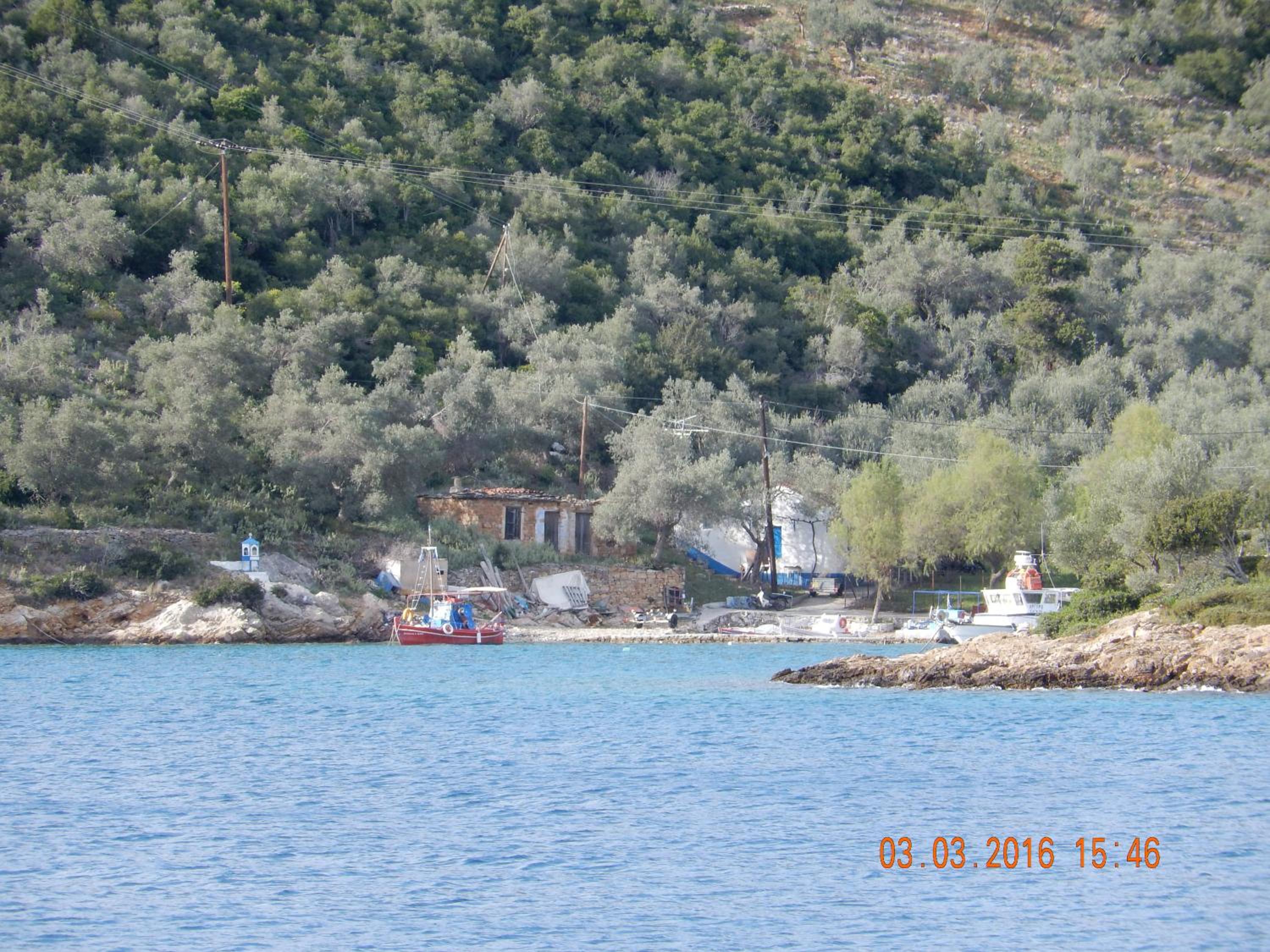 Photo 41