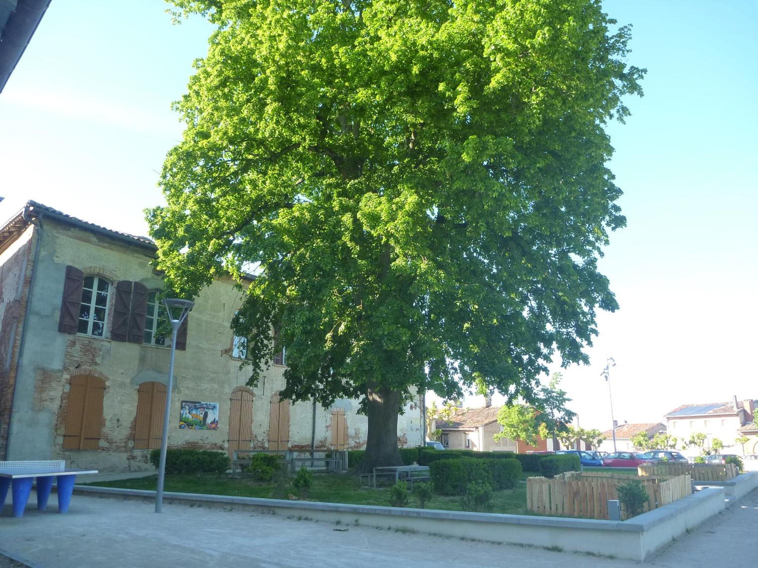 Photo 17