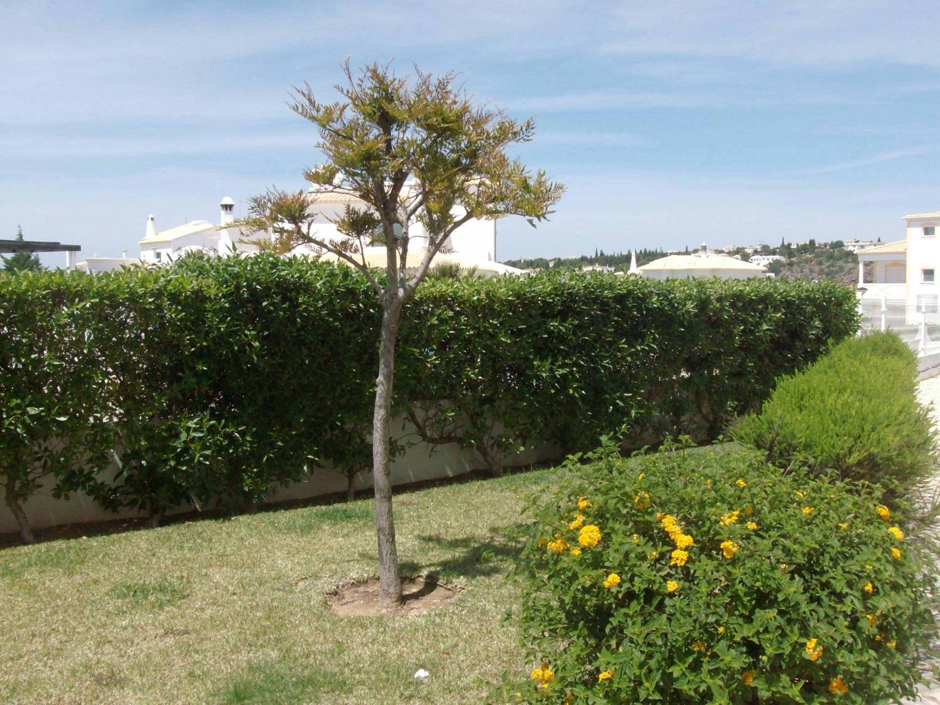 Apartamento Sunny Velamar view 4