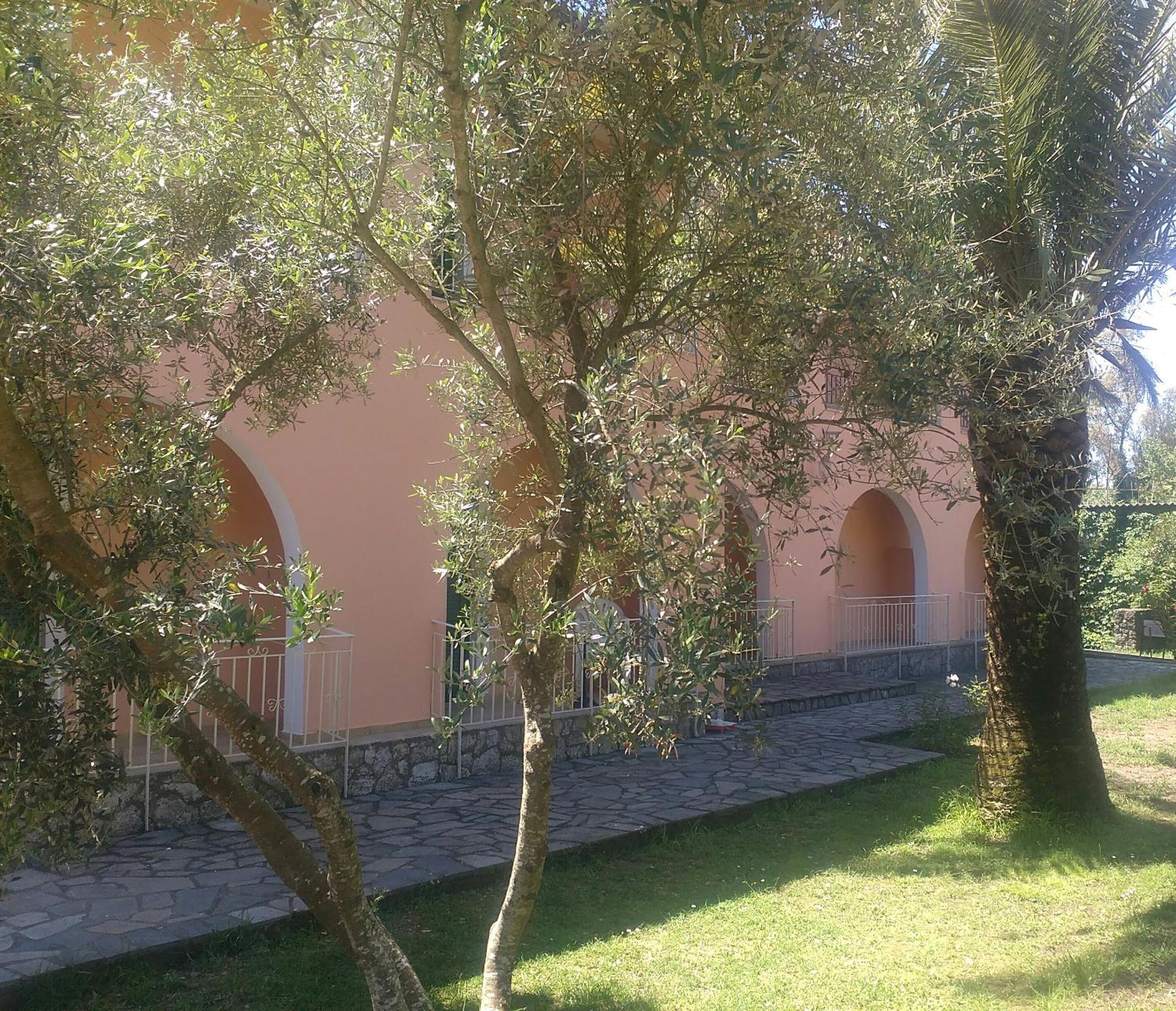 Photo 33