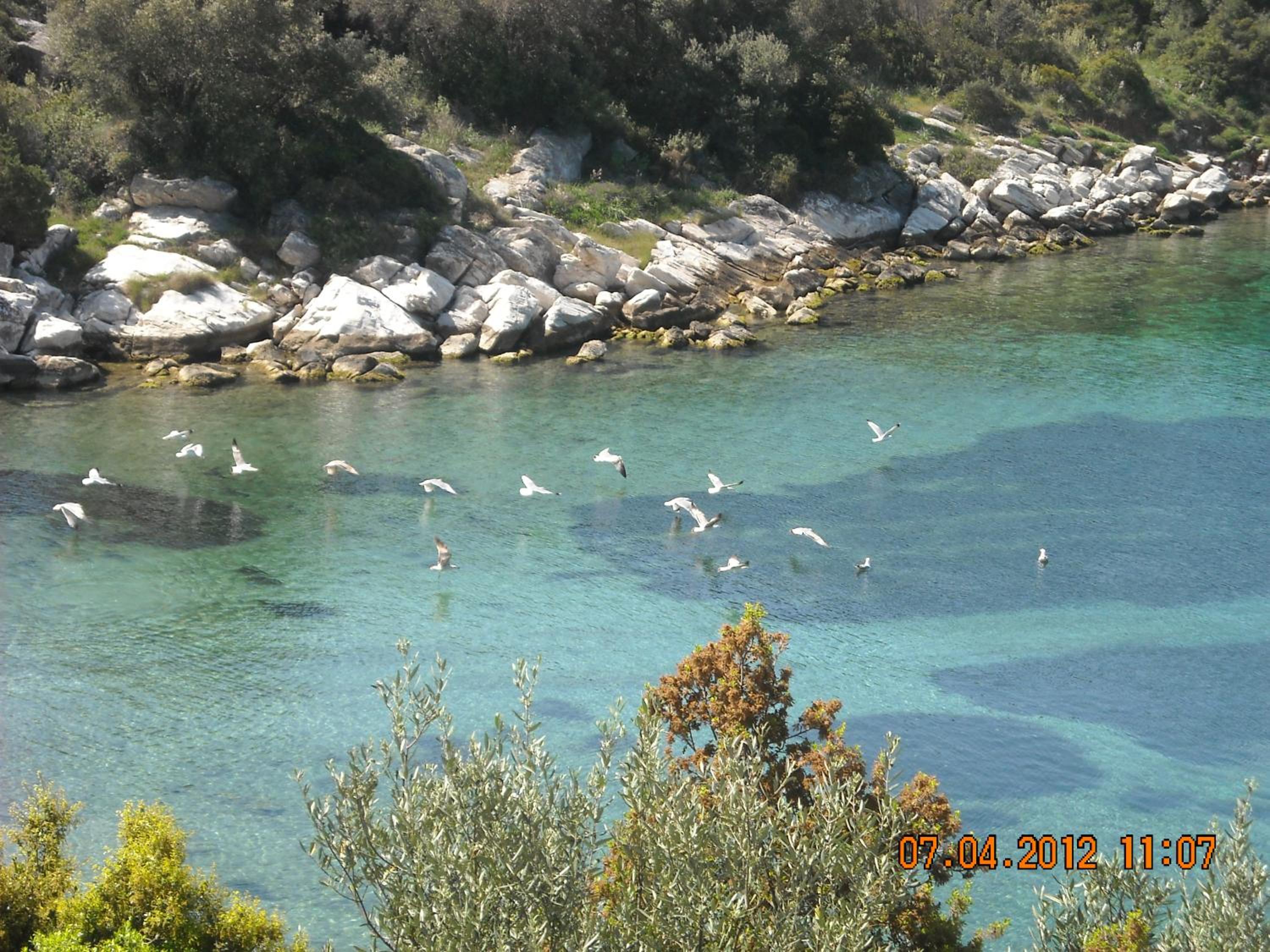 Photo 25