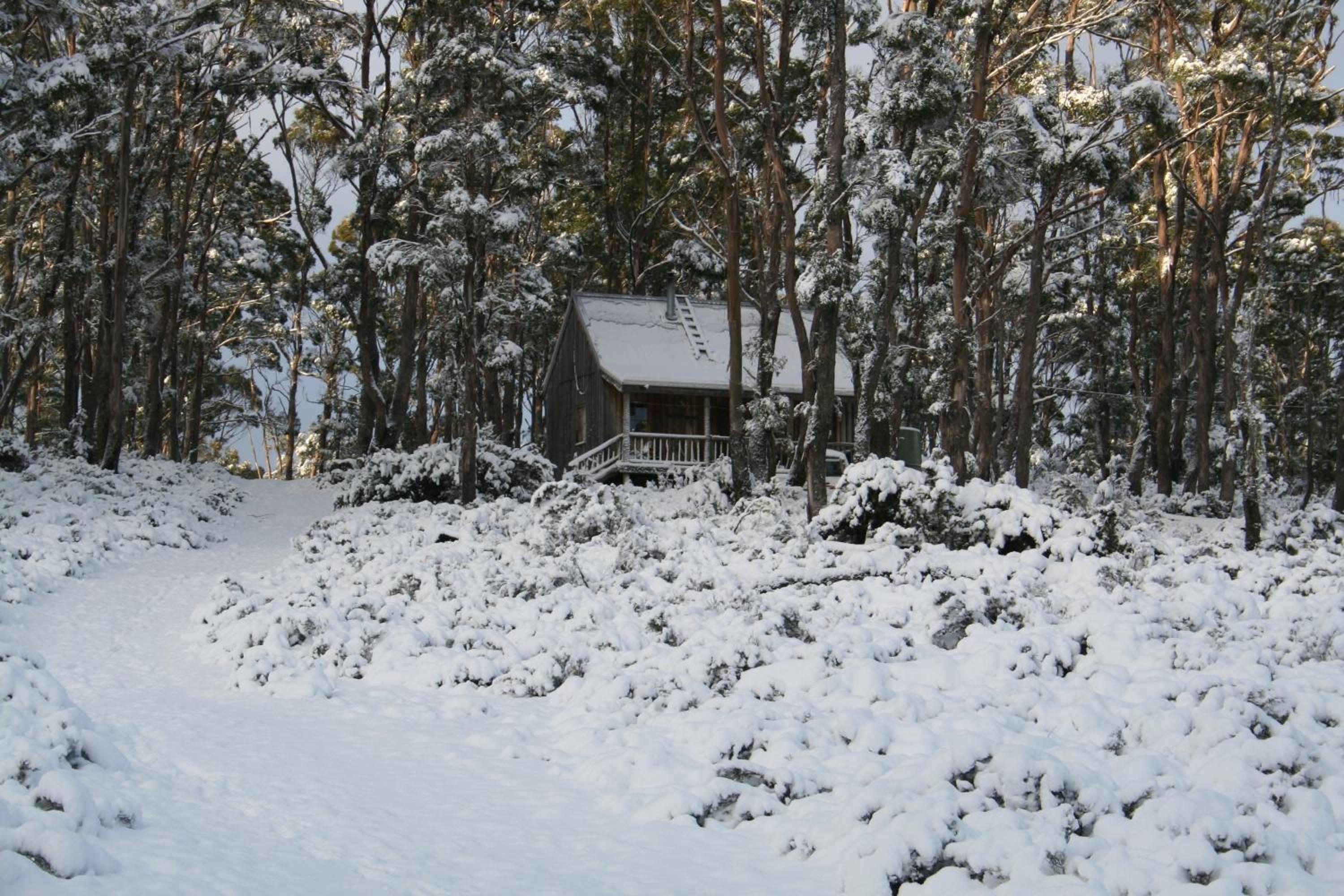 Wombat Cabin