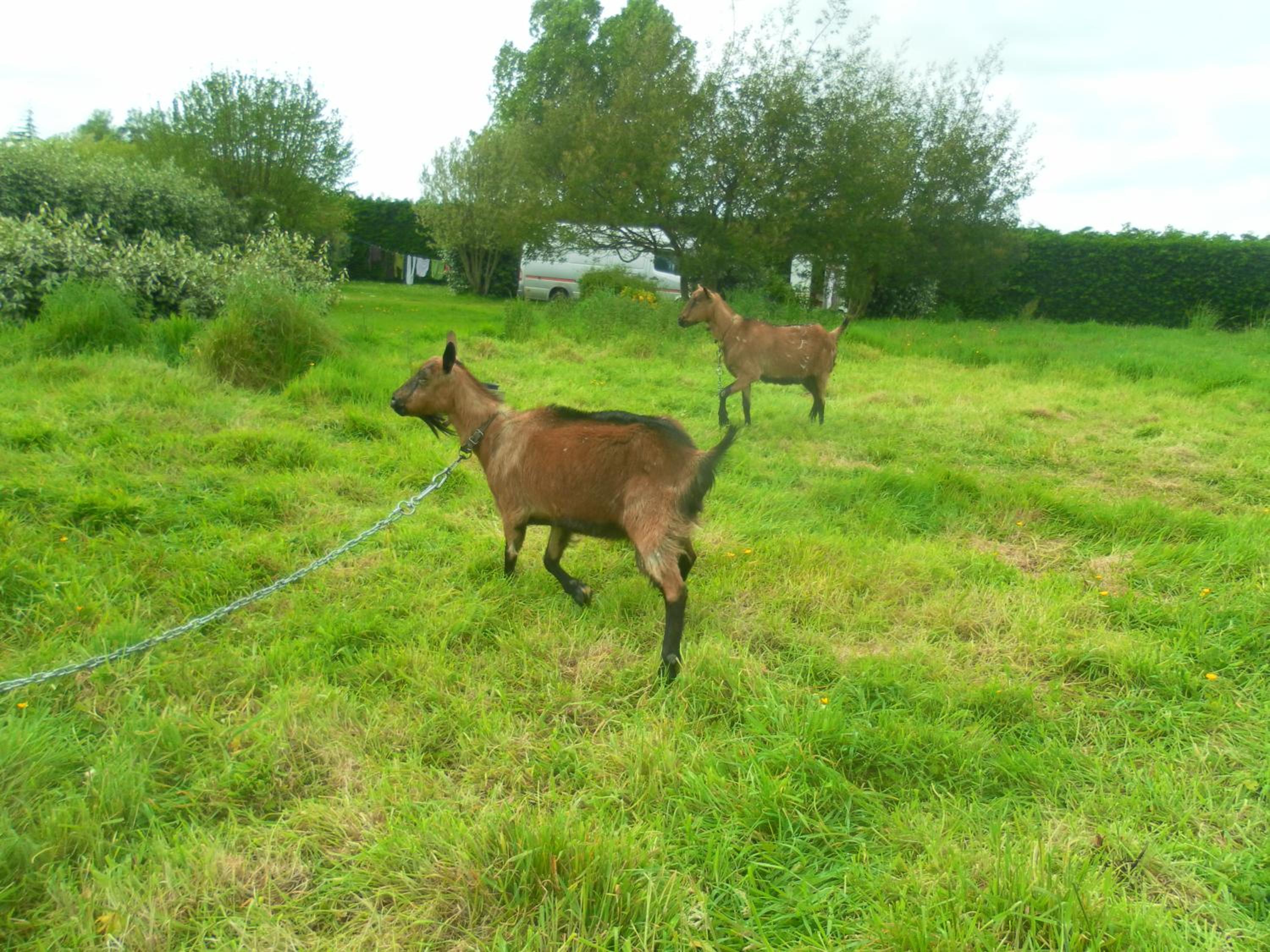 Photo 23