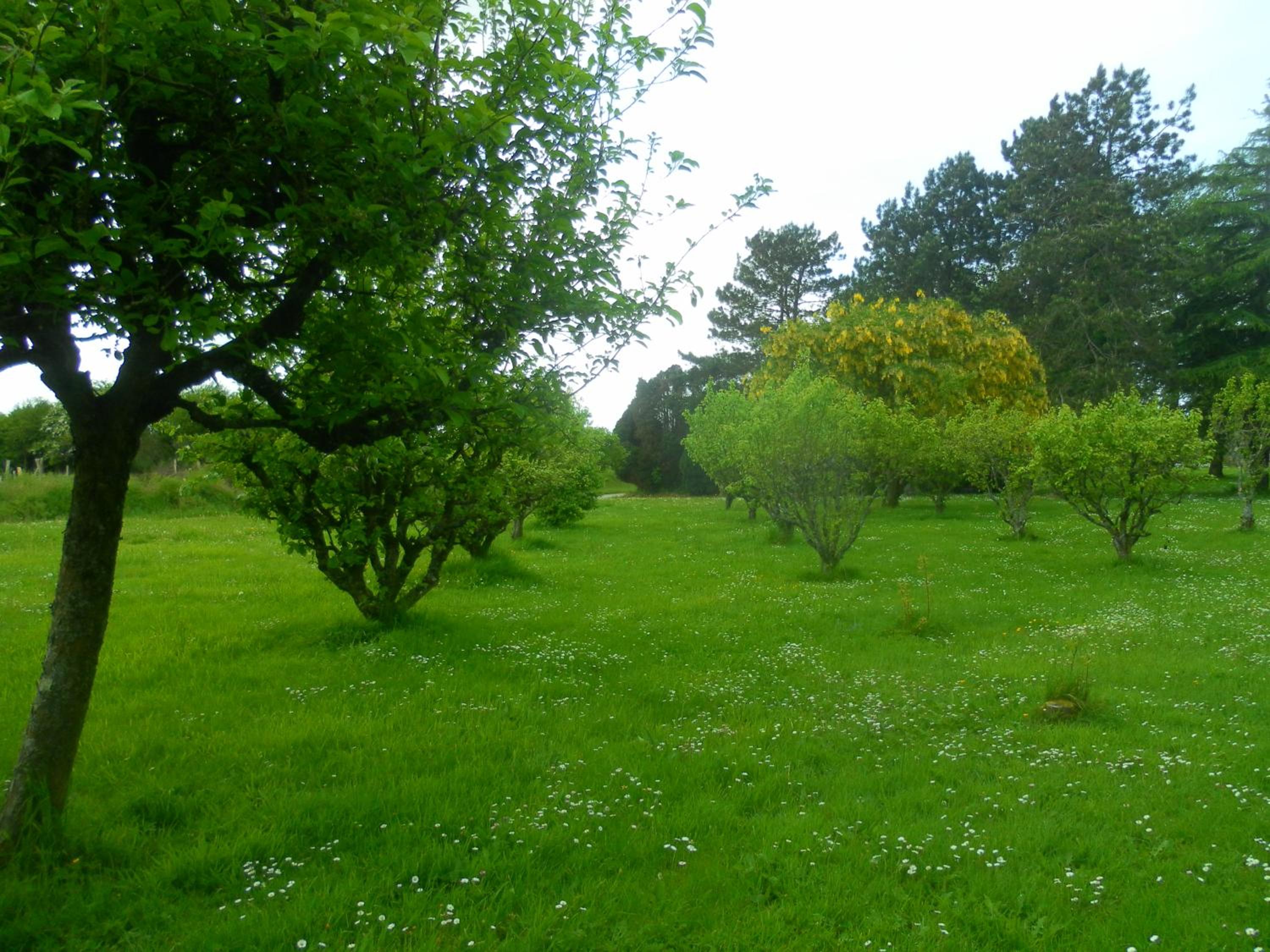 Photo 29