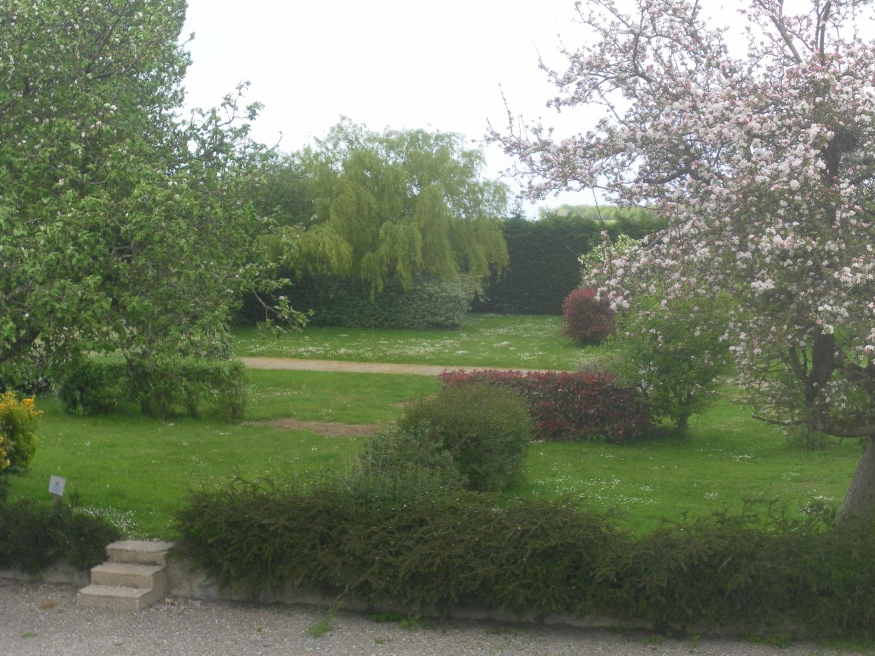 Photo 30