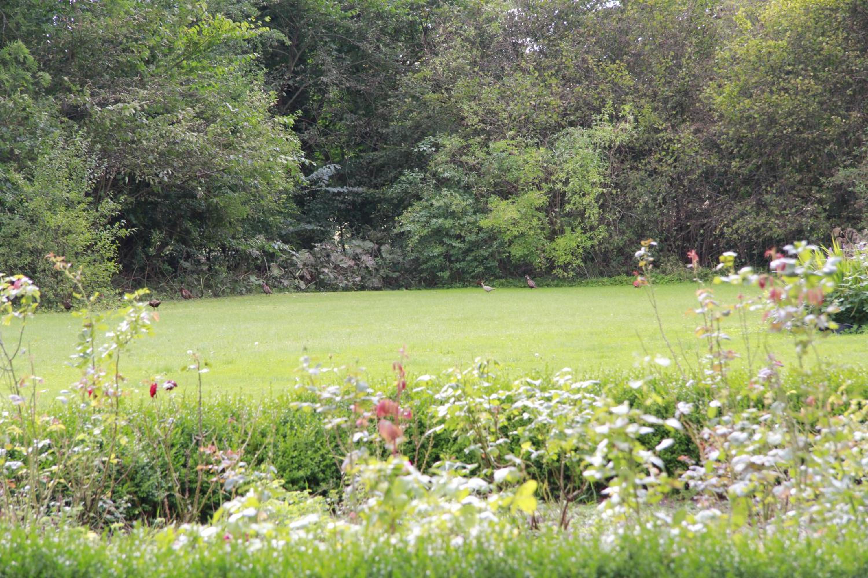 Vemmetofte Præstegård view 4