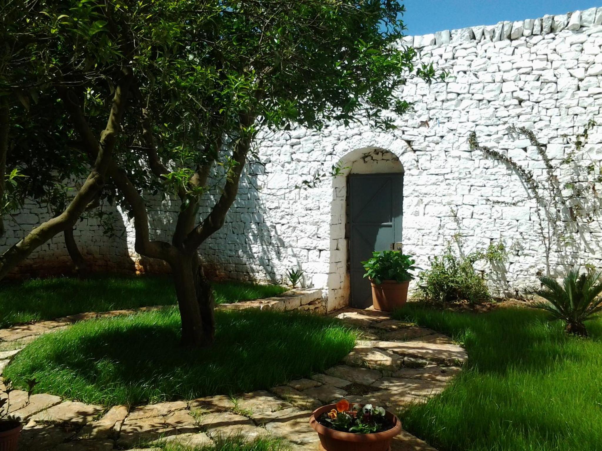 B&B La Collina Degli Ulivi