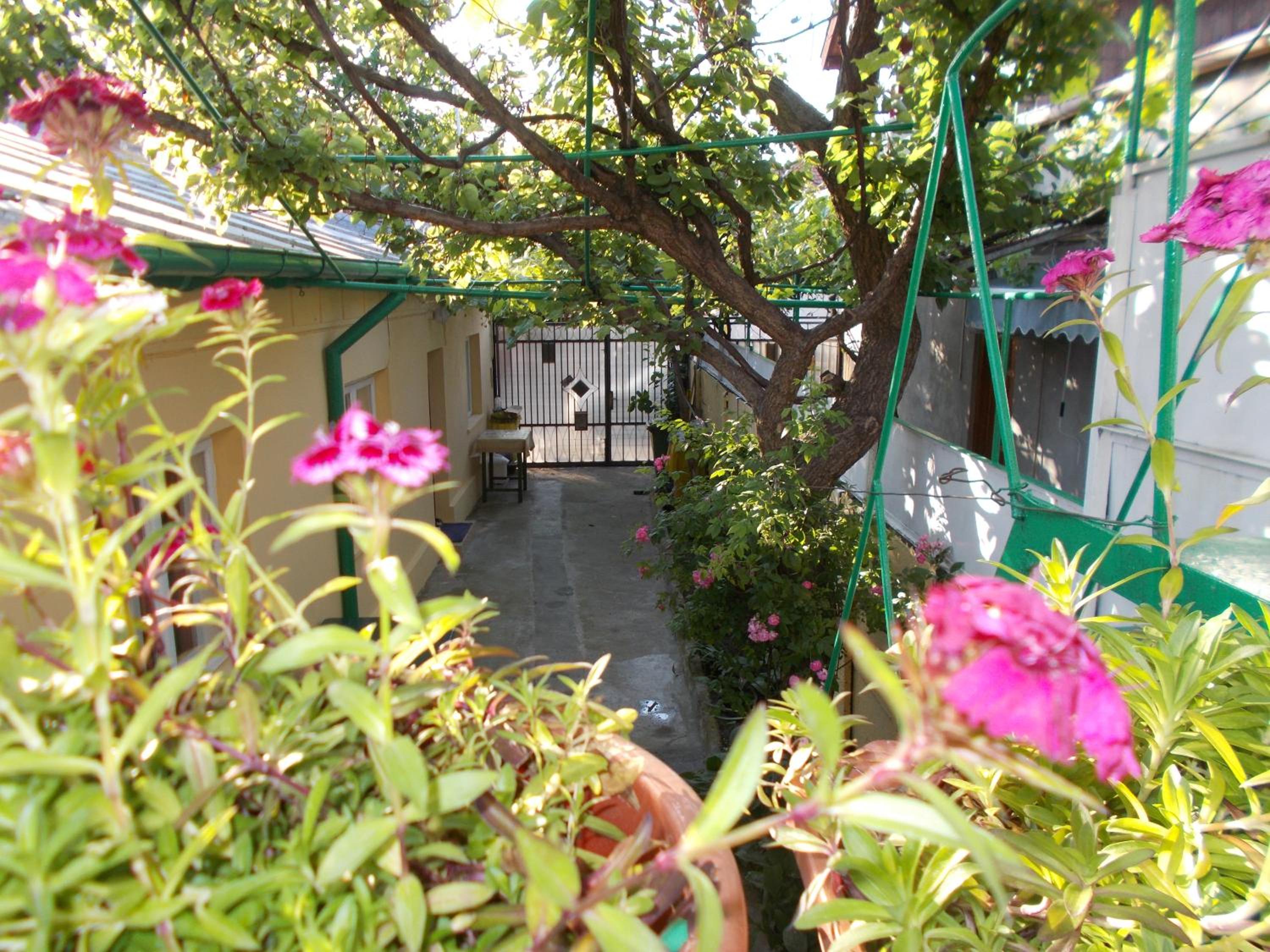 Casa Vlad