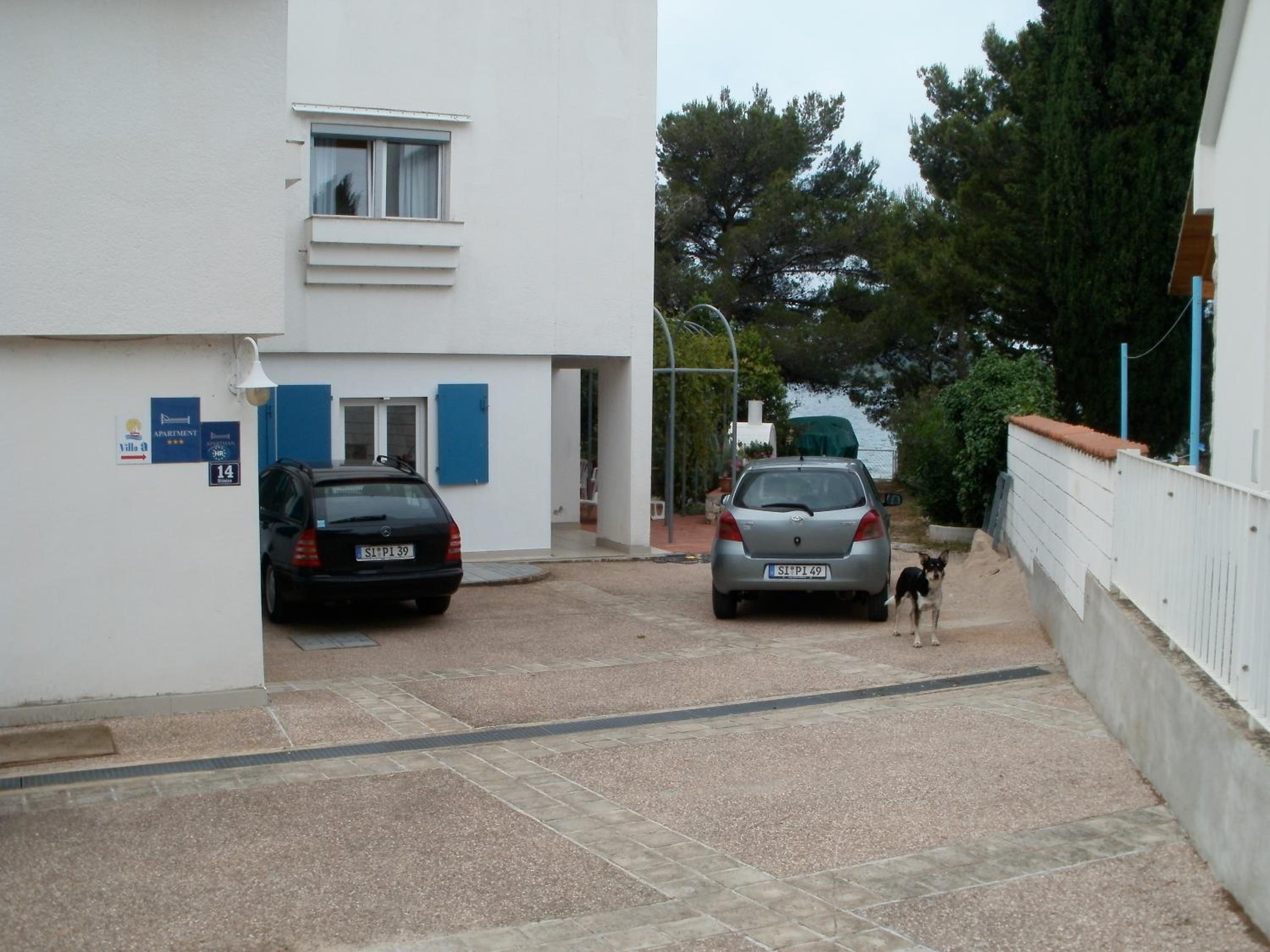 Photo 26