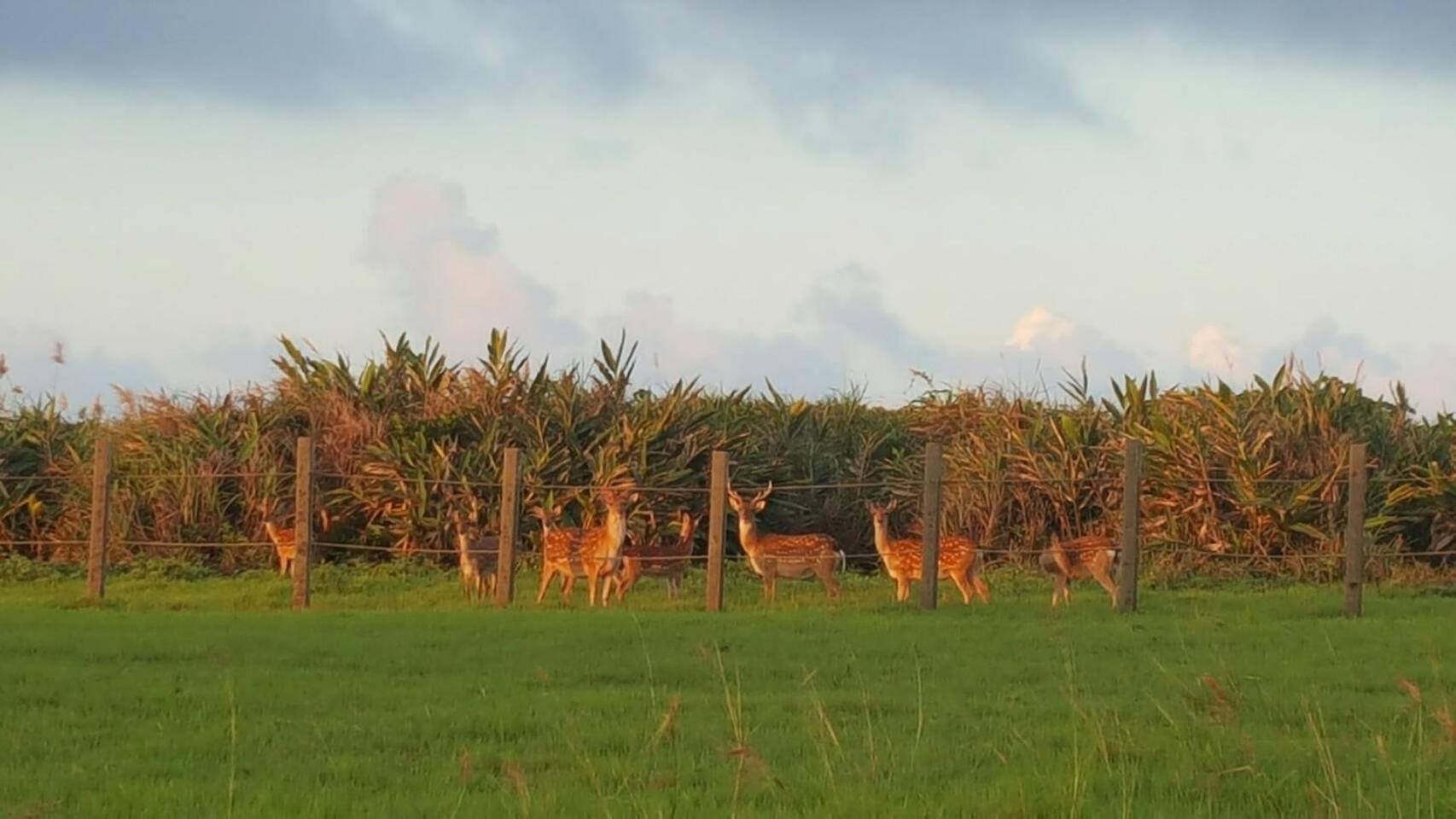 Sunrise Us Villa B&B