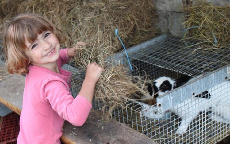 Ferme Pédagogique " L'Bout d'Chemin"