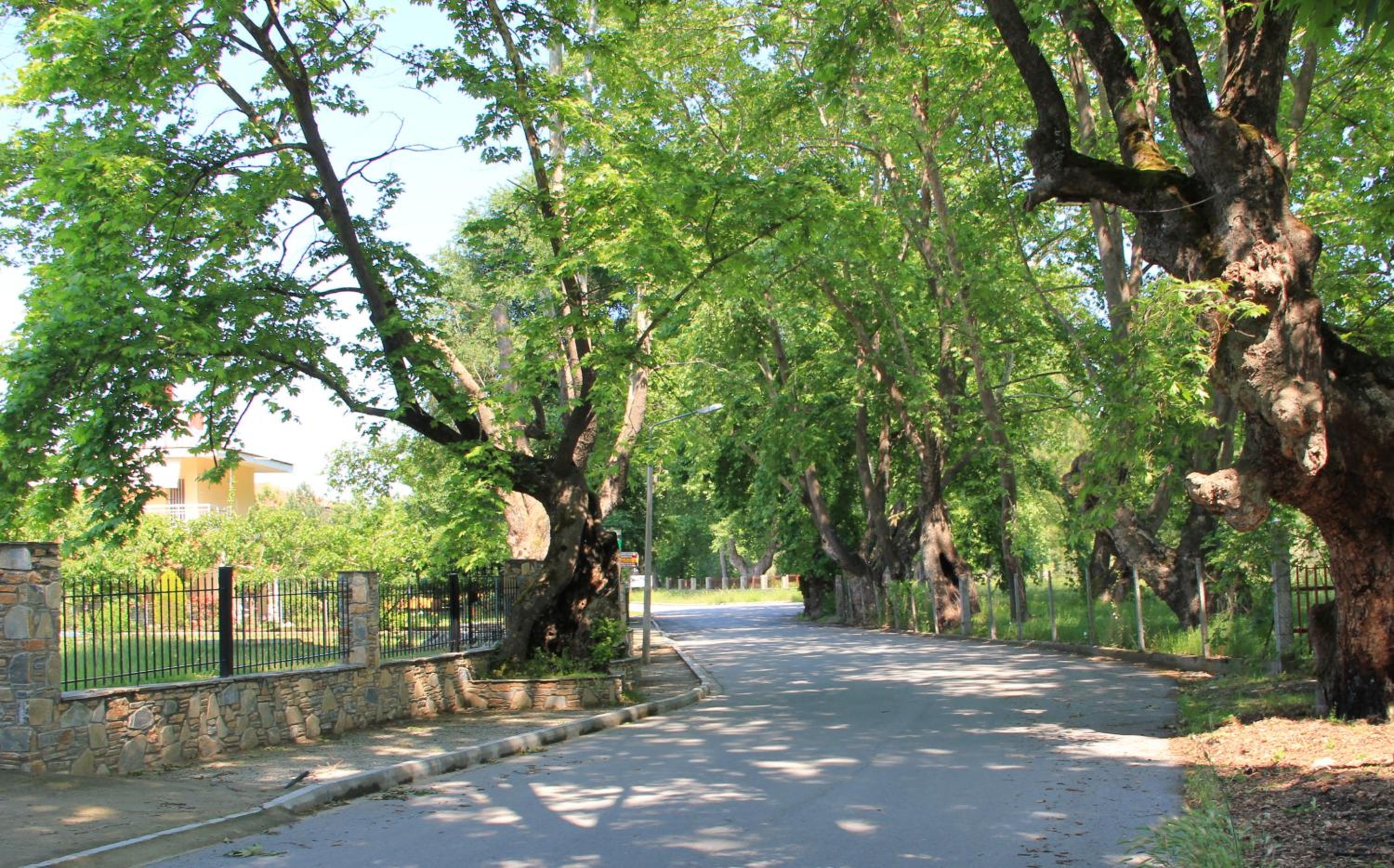 children's play area