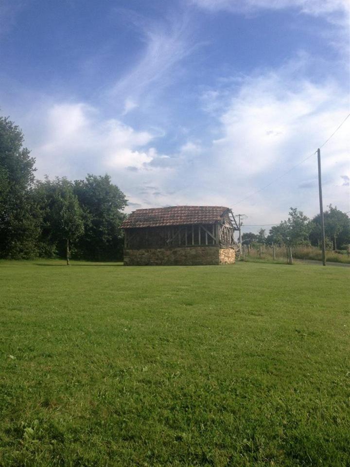 Photo 12
