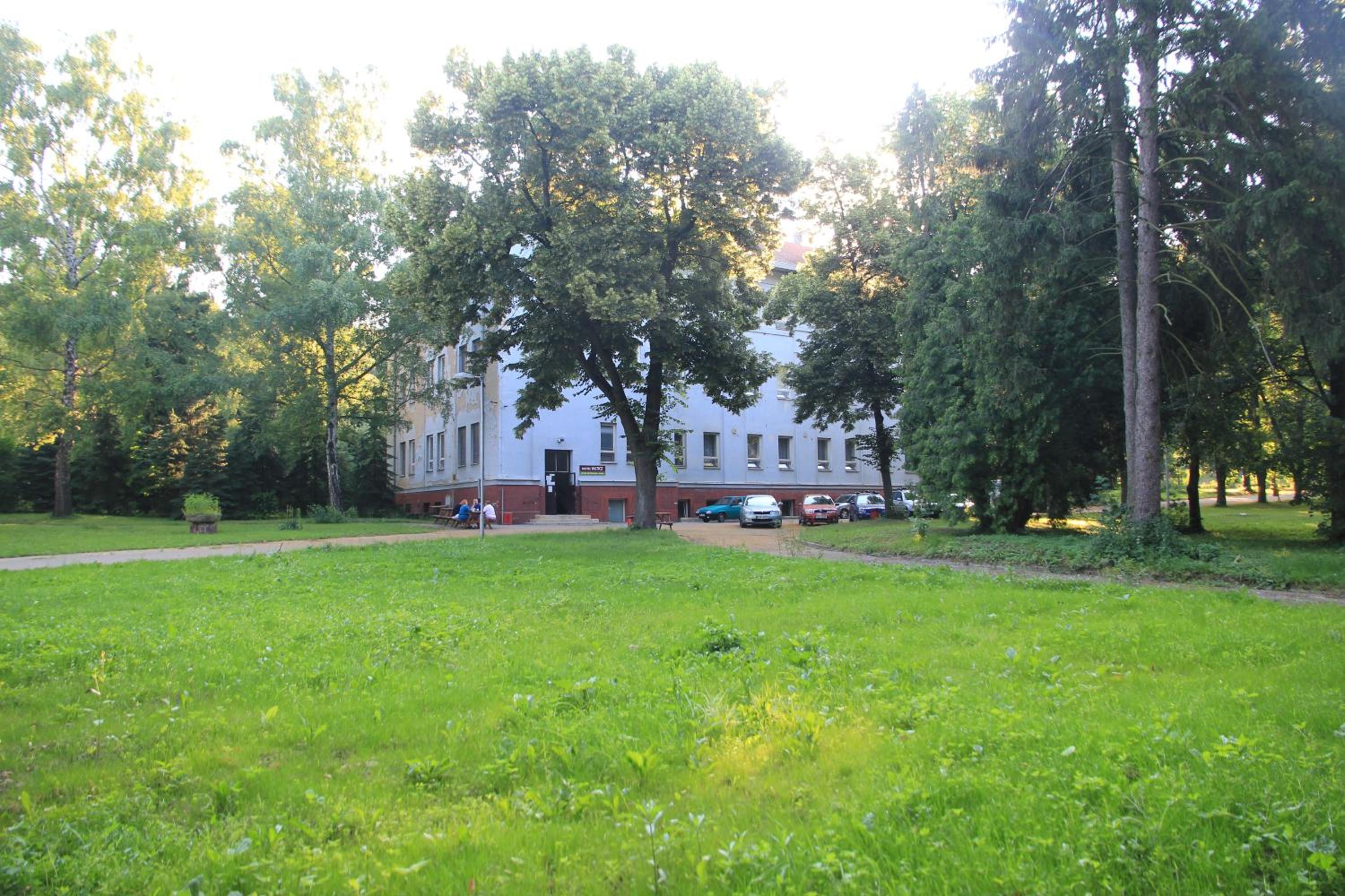 Photo 8
