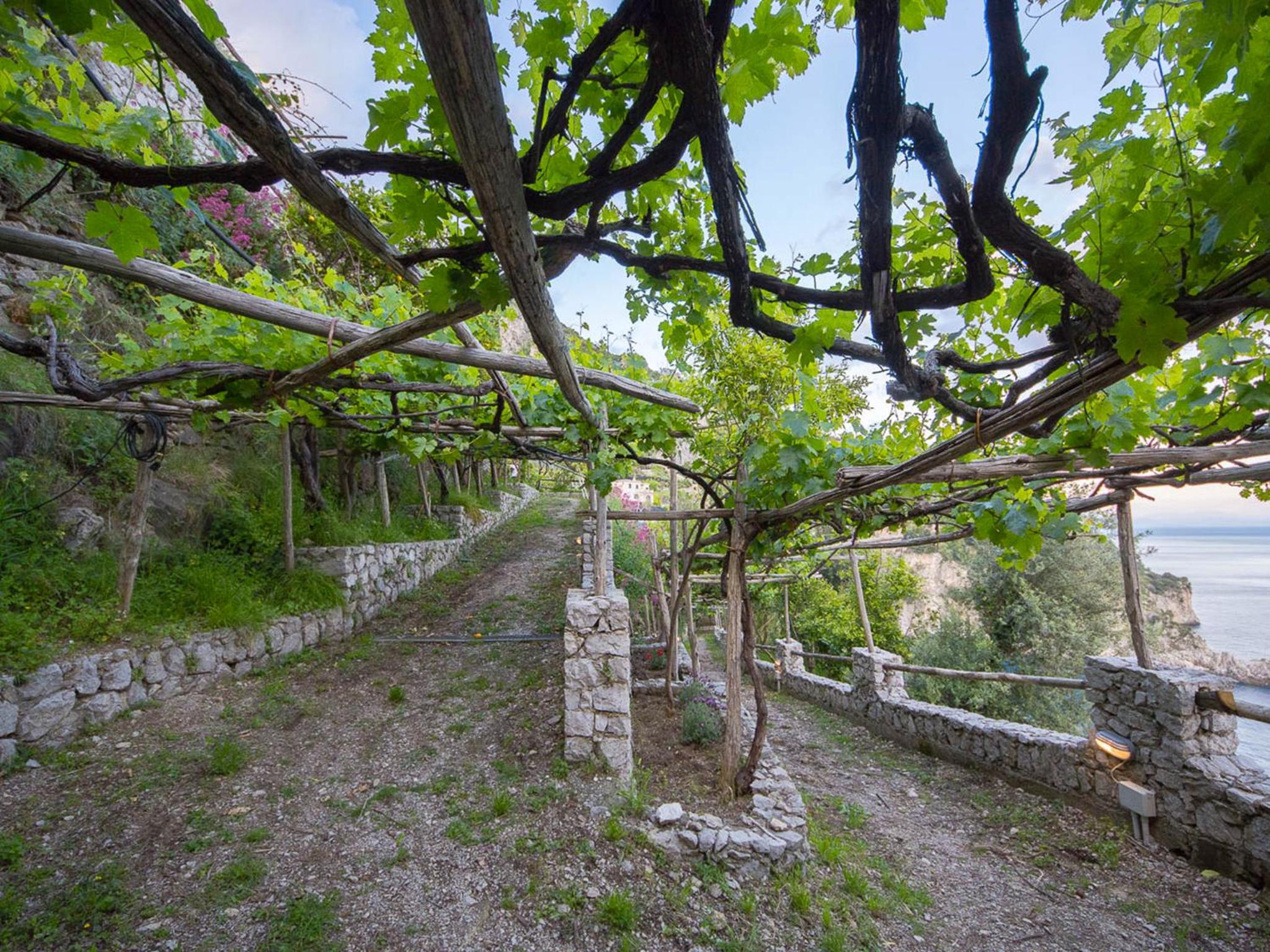 Cannaverde - Amalfi Coast Camp