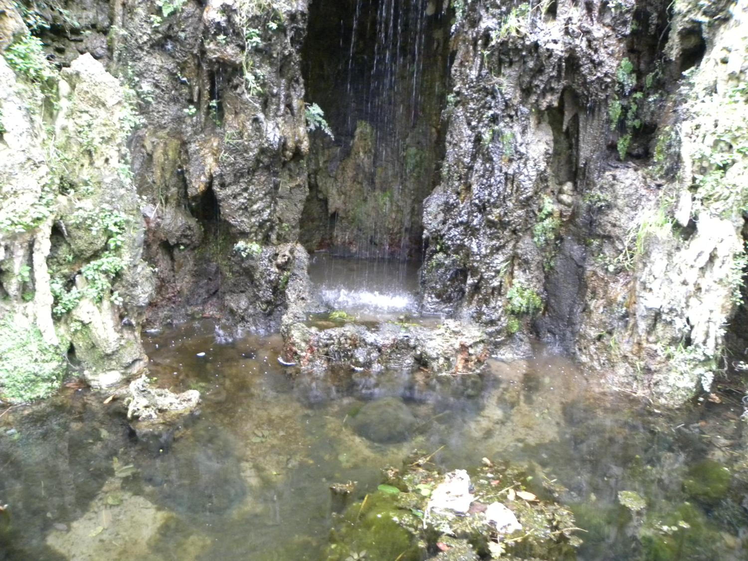 Photo 31