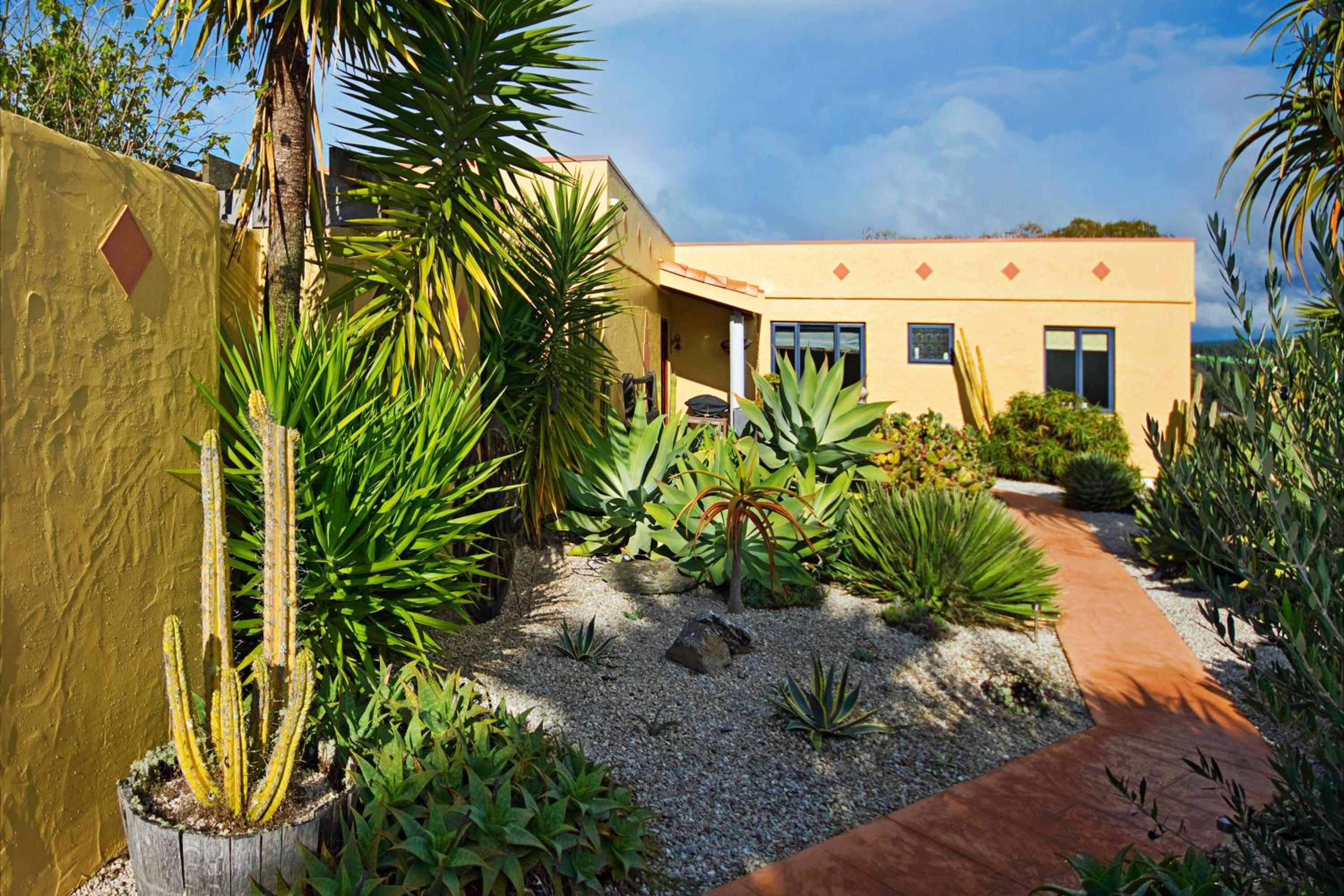 Mapua Hills Studio Bed and Breakfast view 4