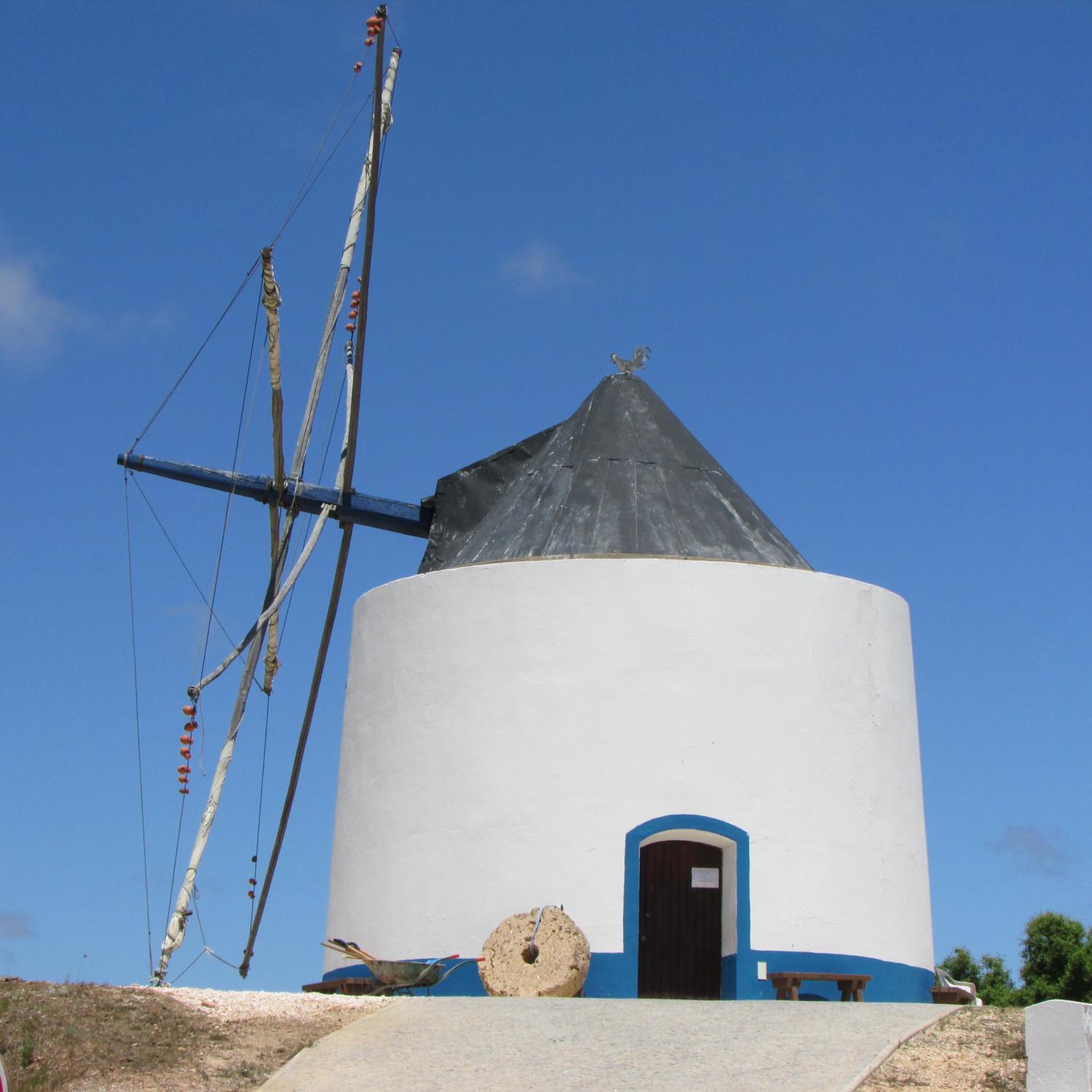 Photo 21