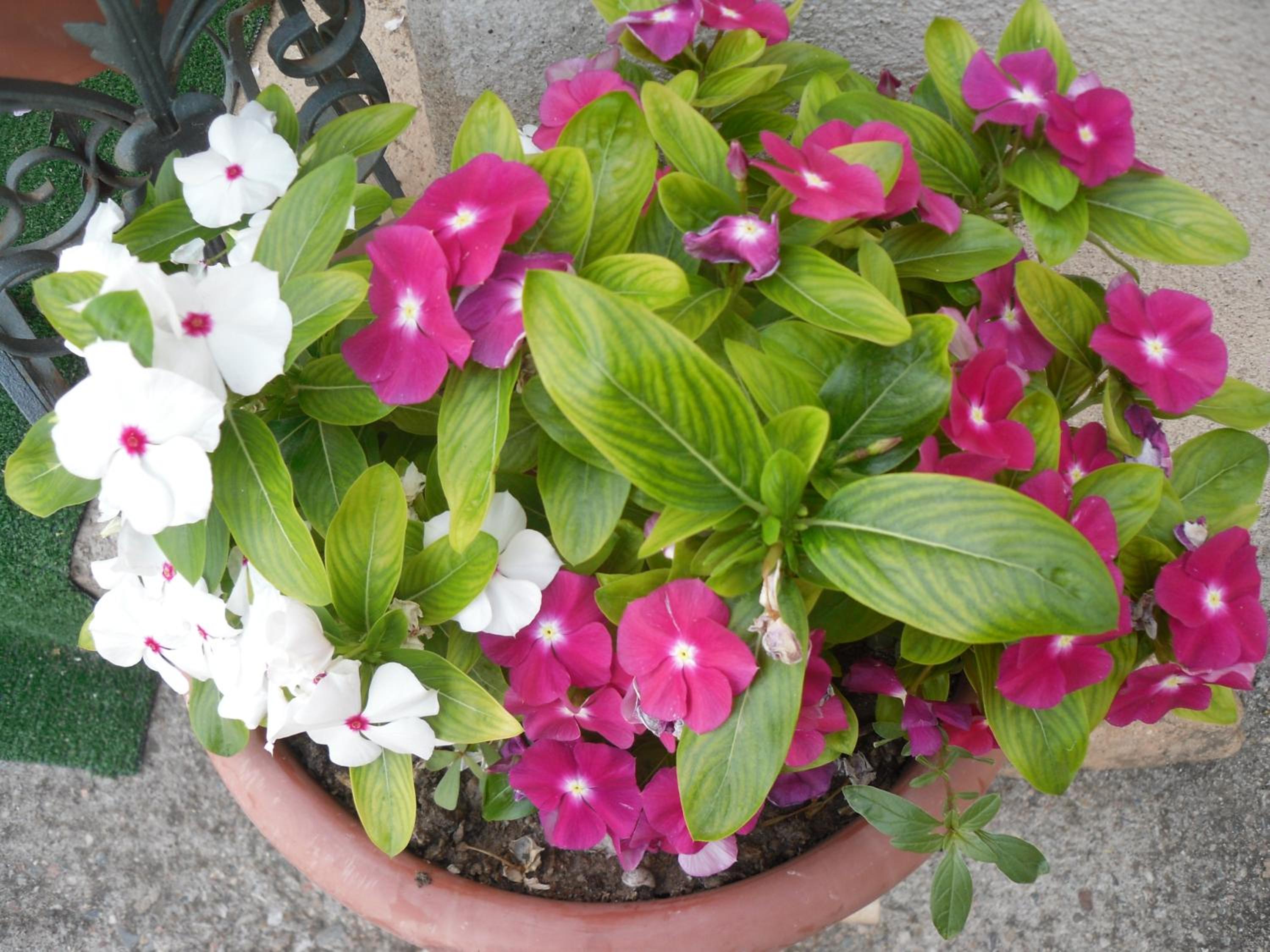 Photo 42