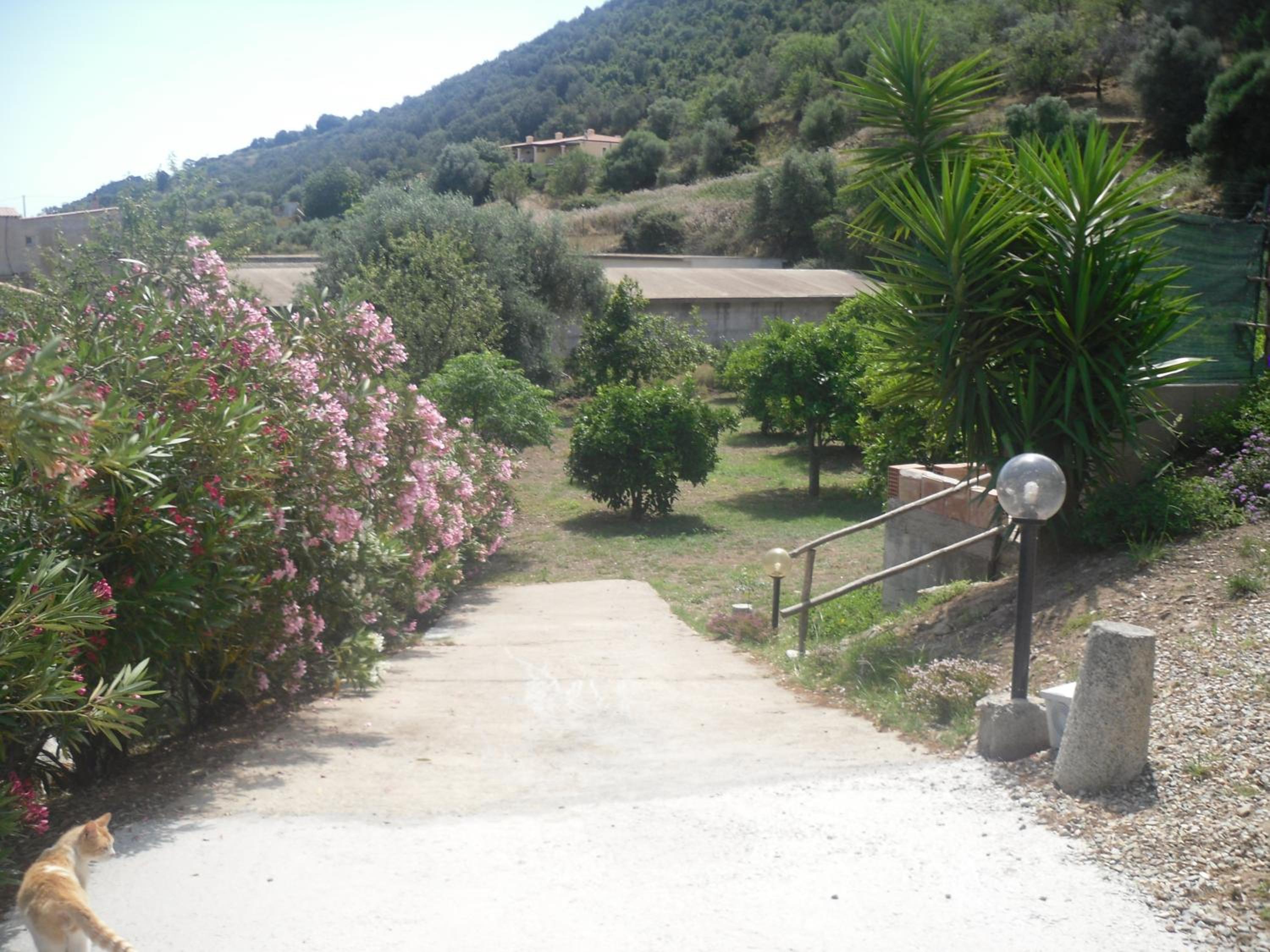 Photo 41