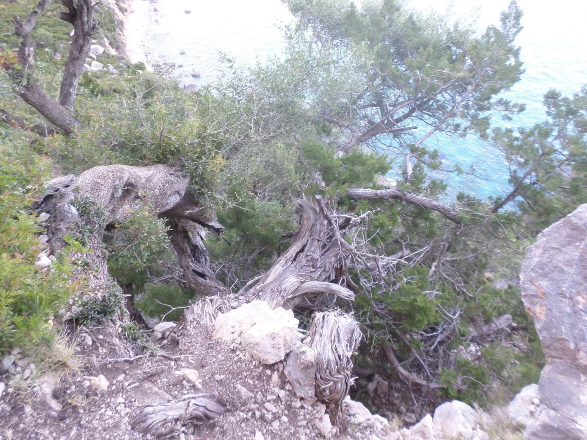 Photo 44