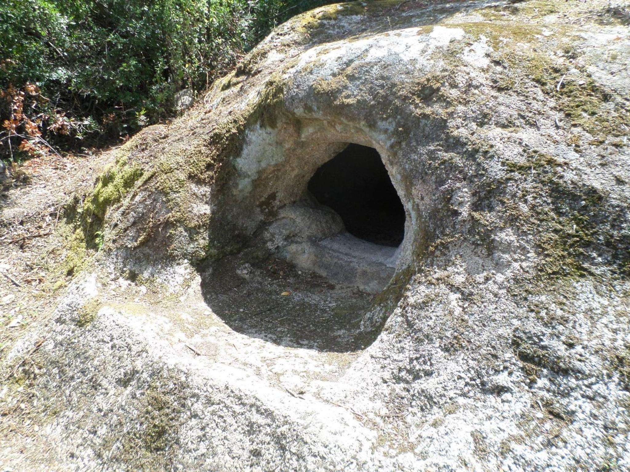 Photo 45