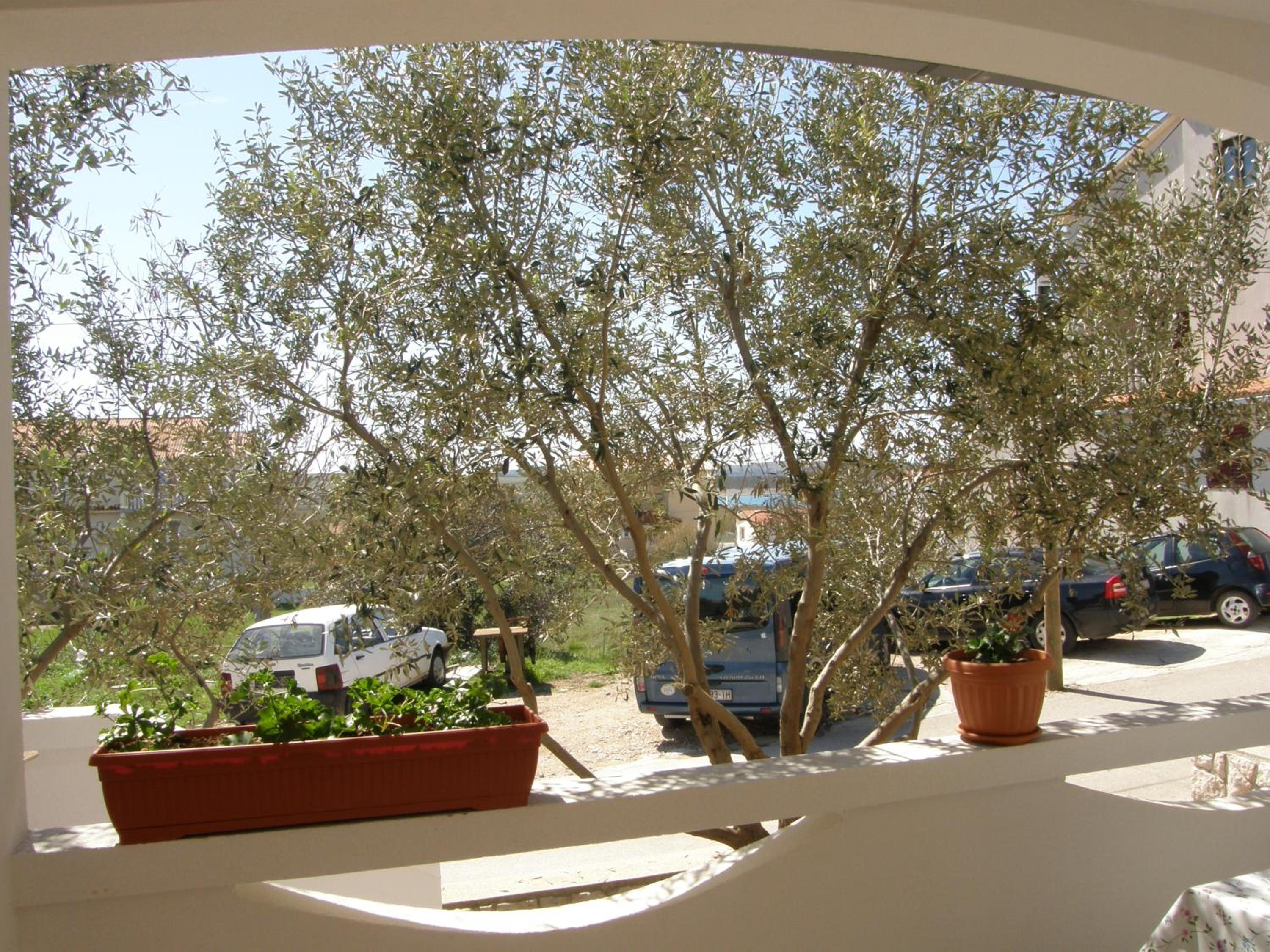 Photo 46