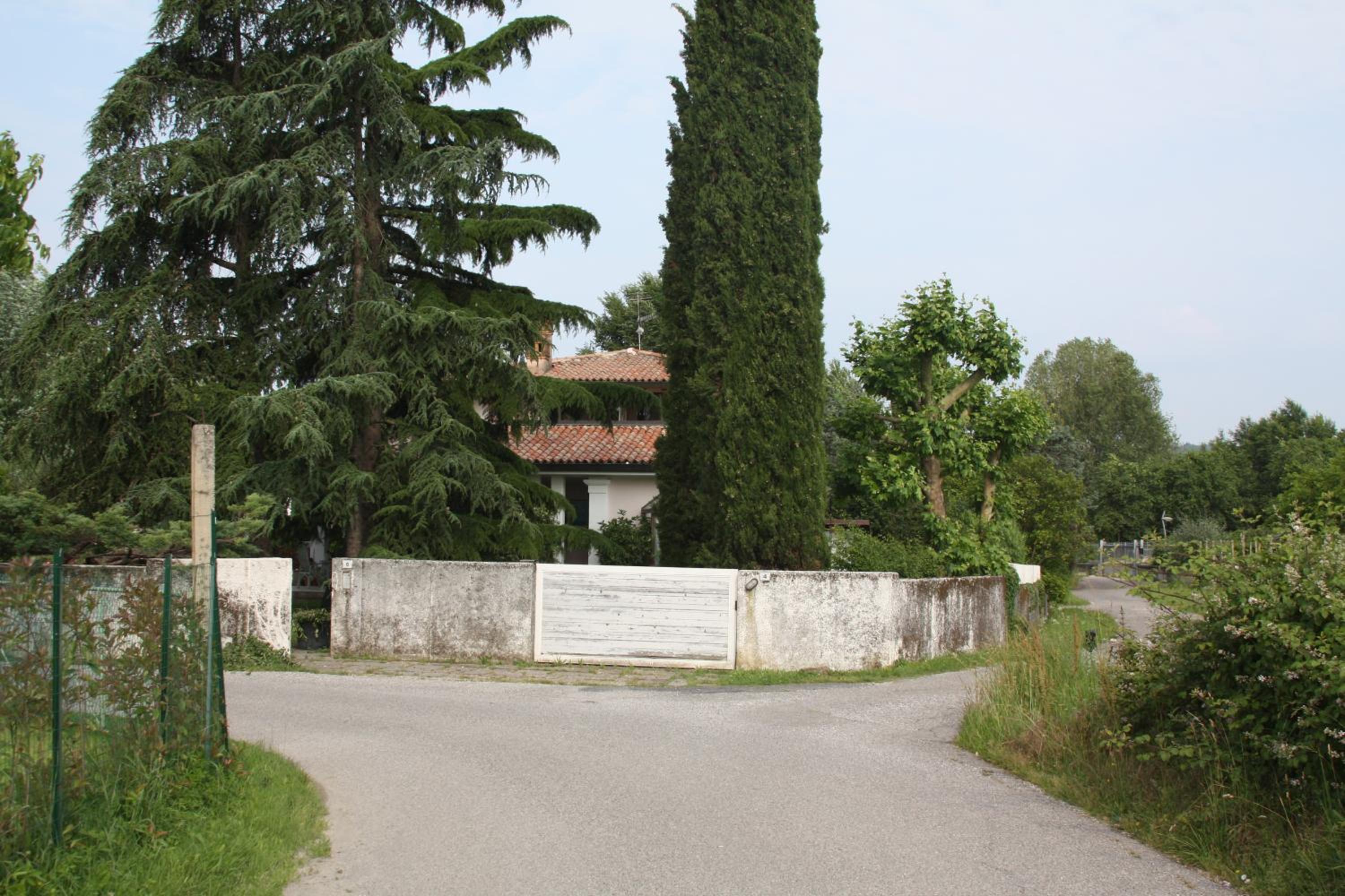 Photo 42