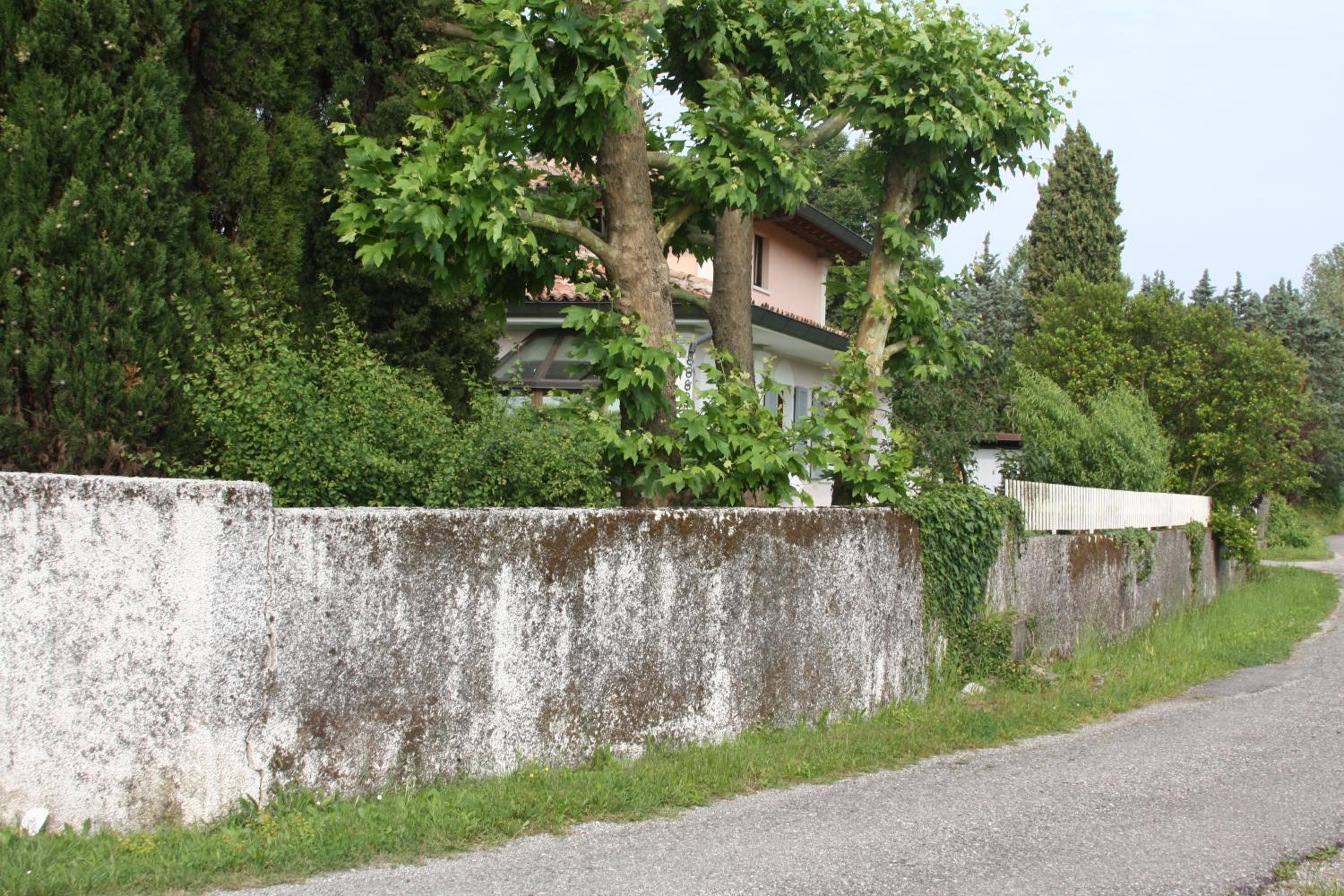 Photo 40