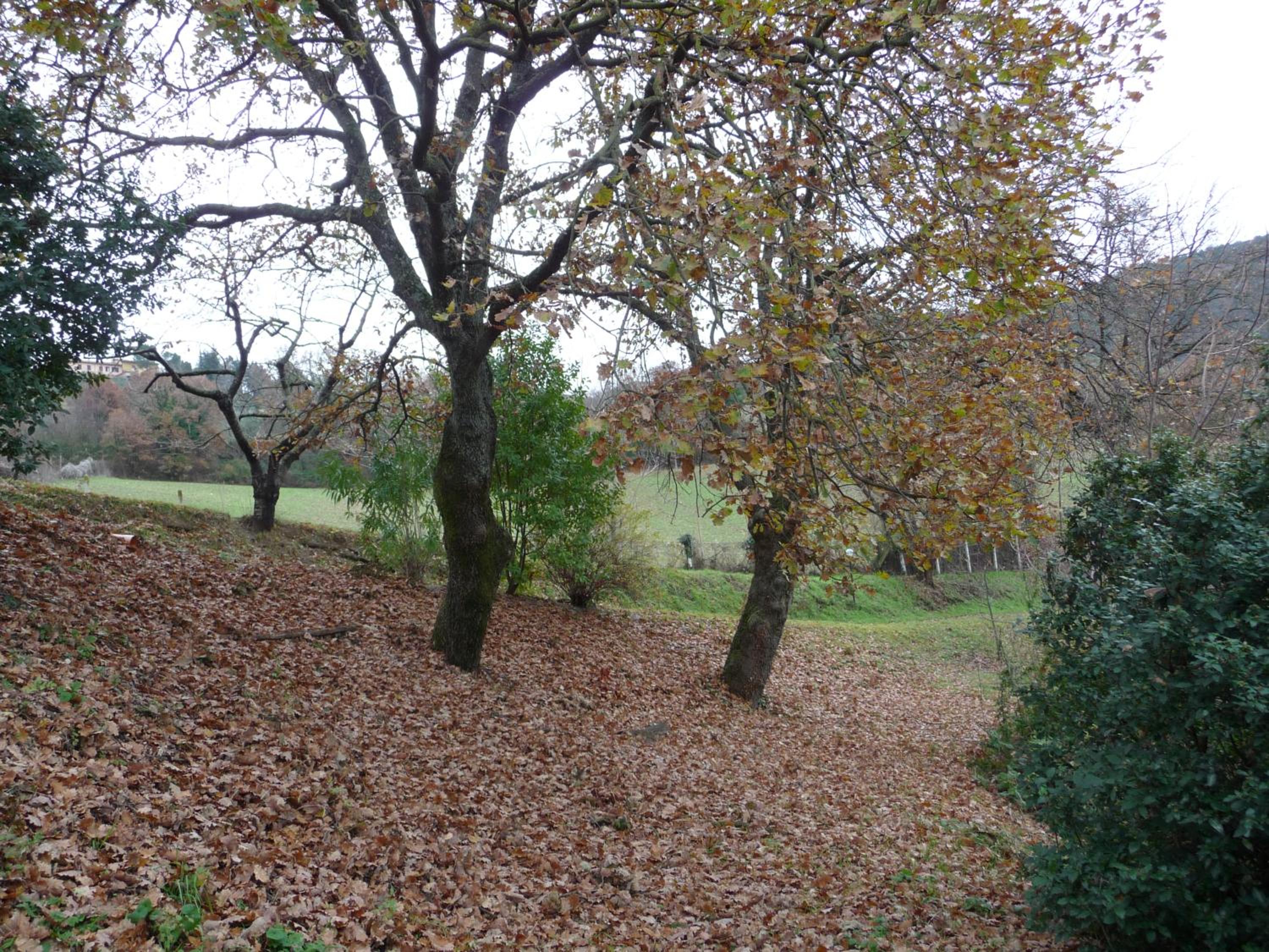Photo 31