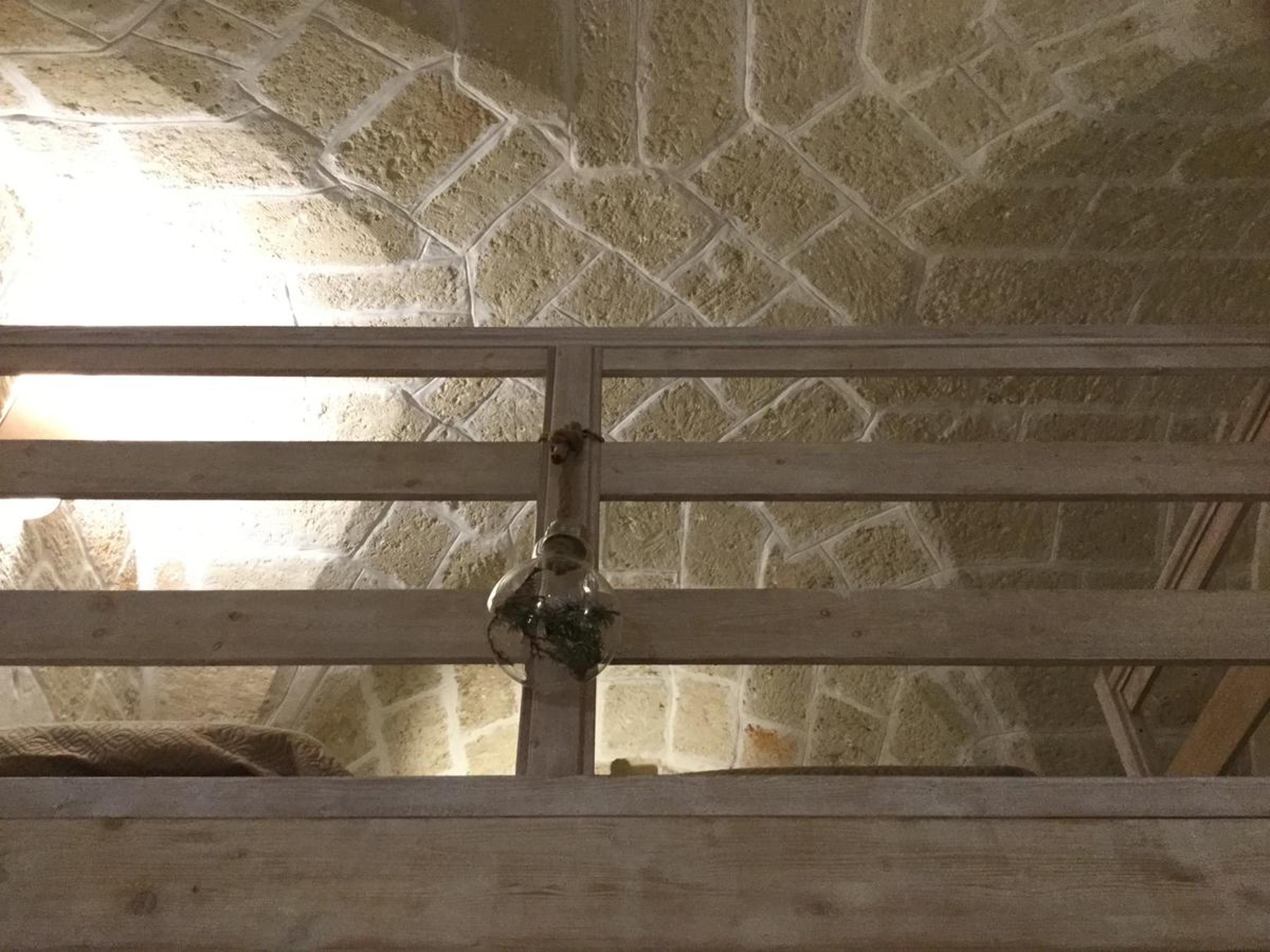 Photo 38