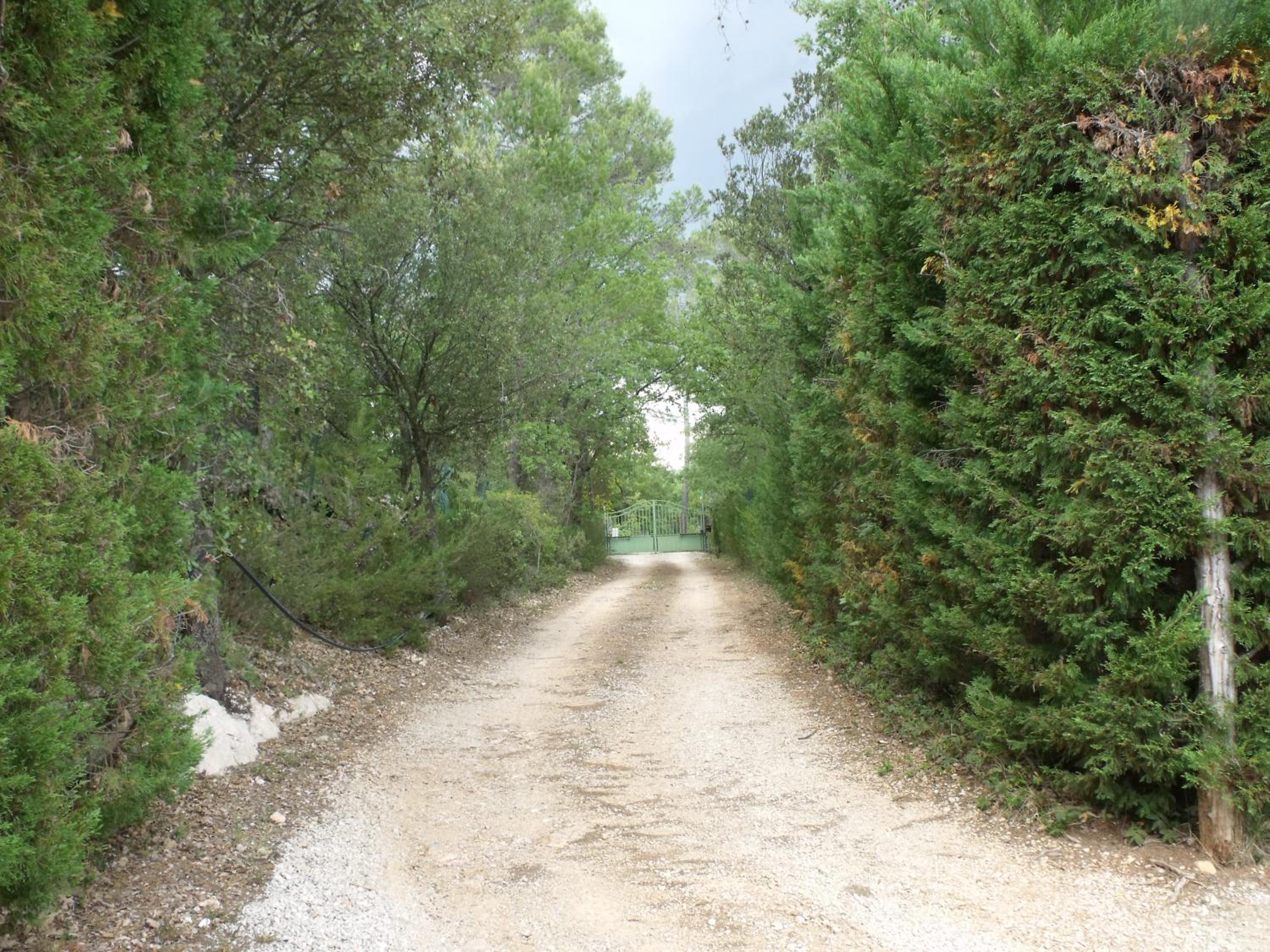 Photo 9
