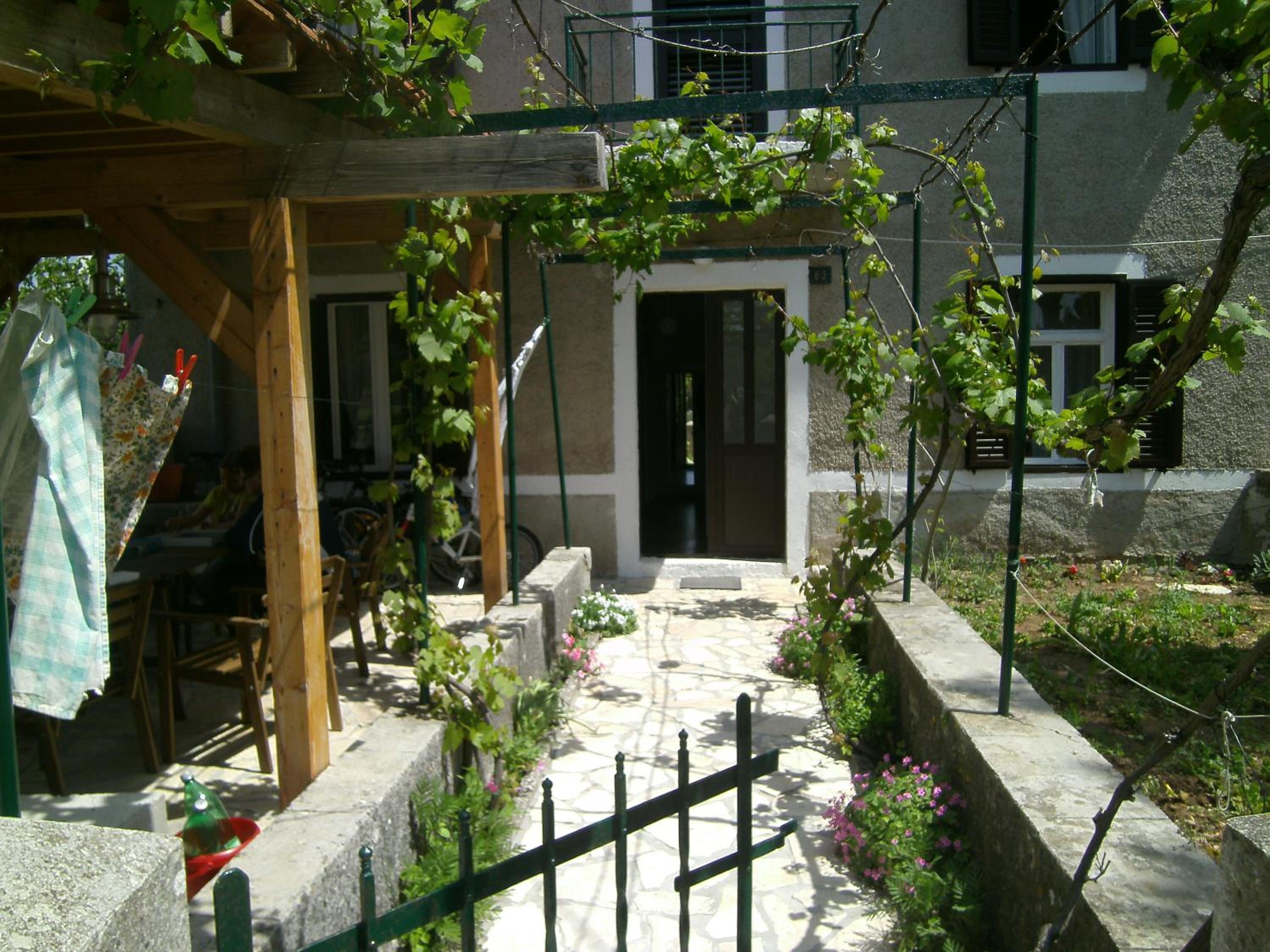 Photo 7
