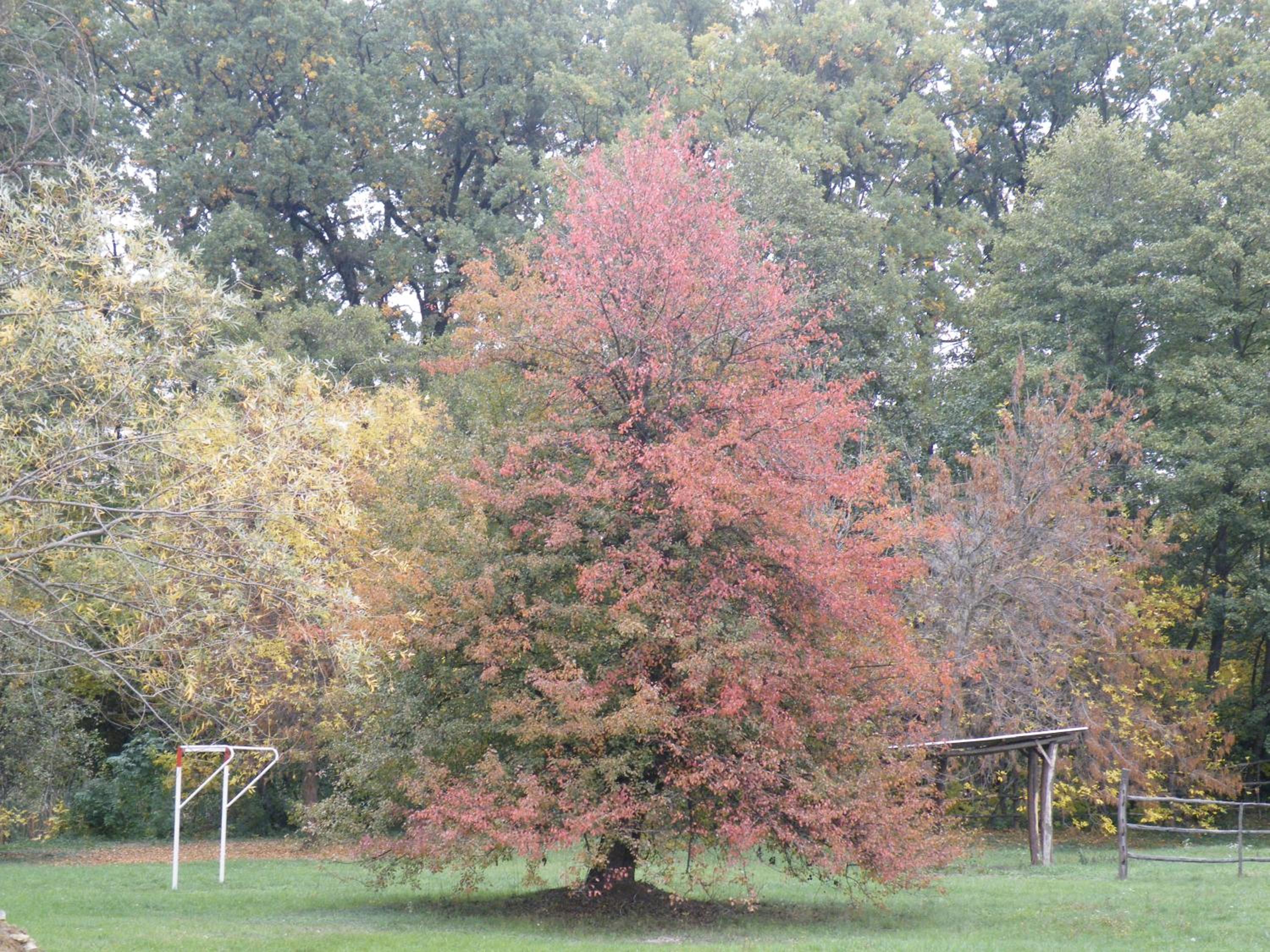Photo 32