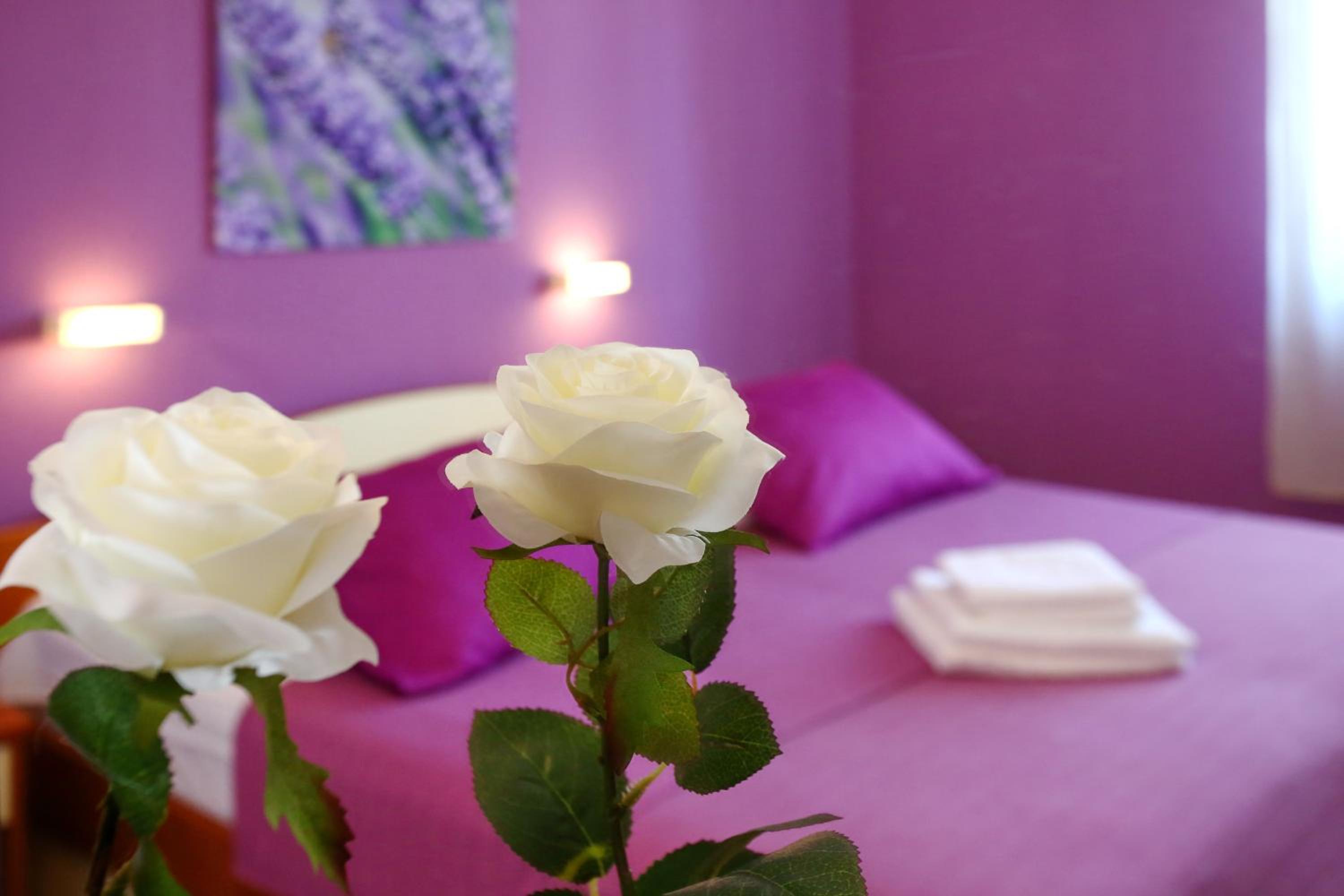 Rooms & Apartments Soline Nuove view 5