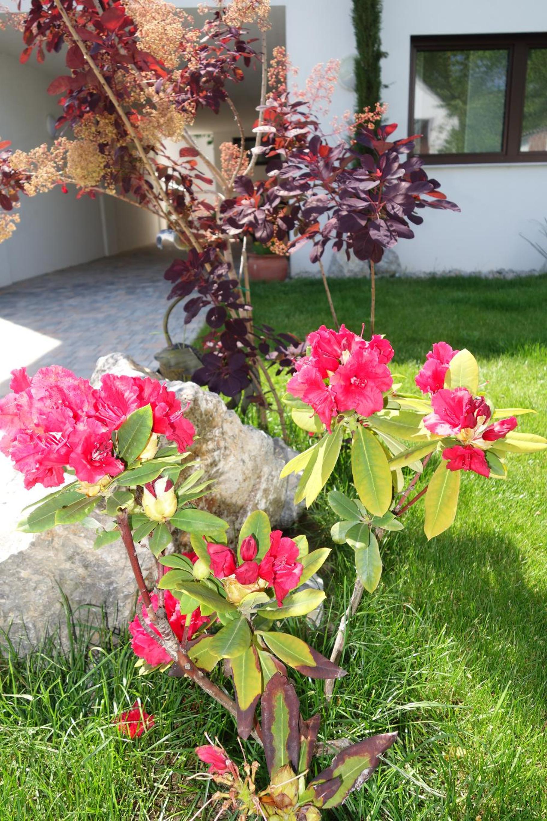 Erbhof Wegleitner view 2