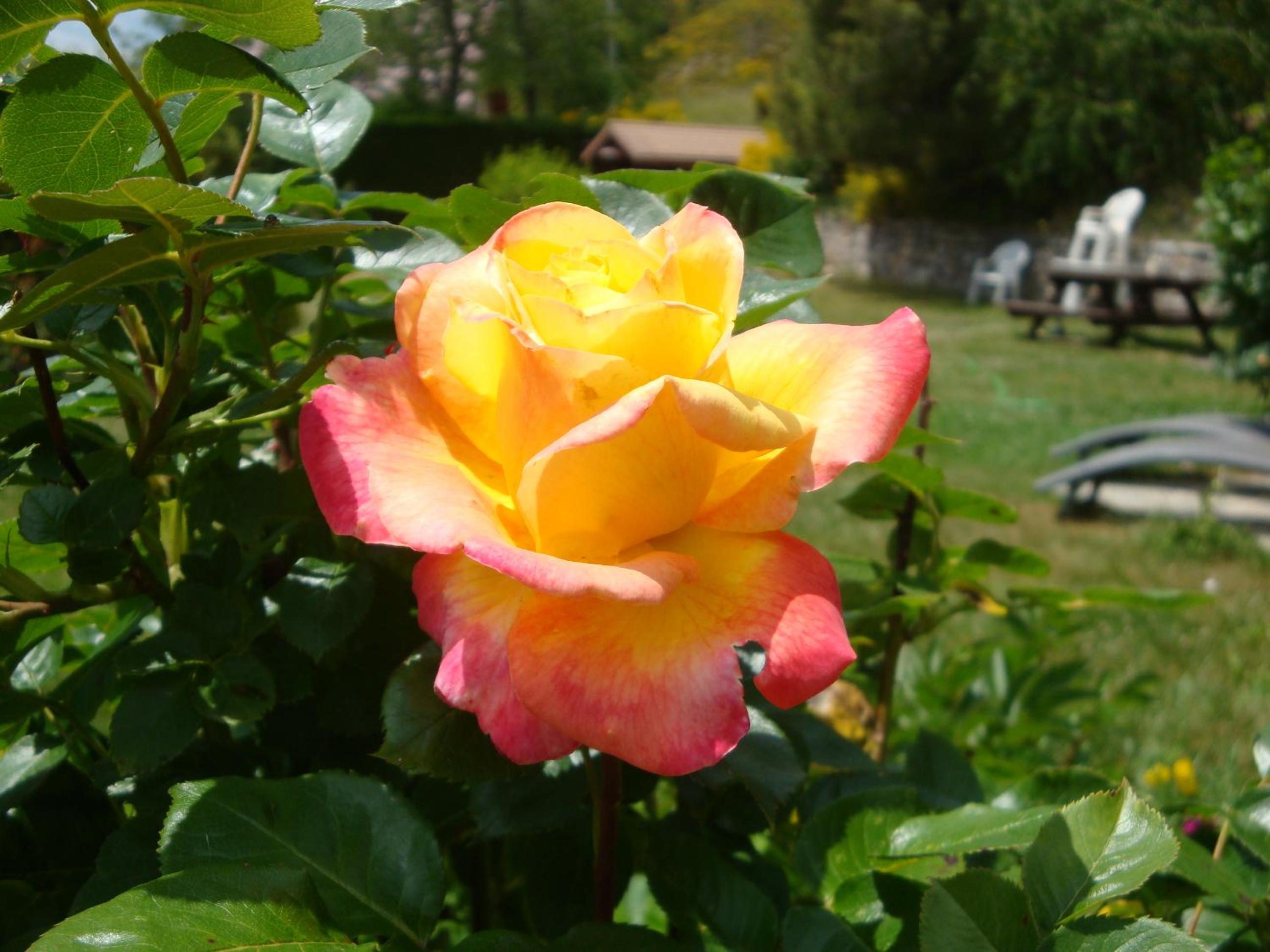 Photo 21