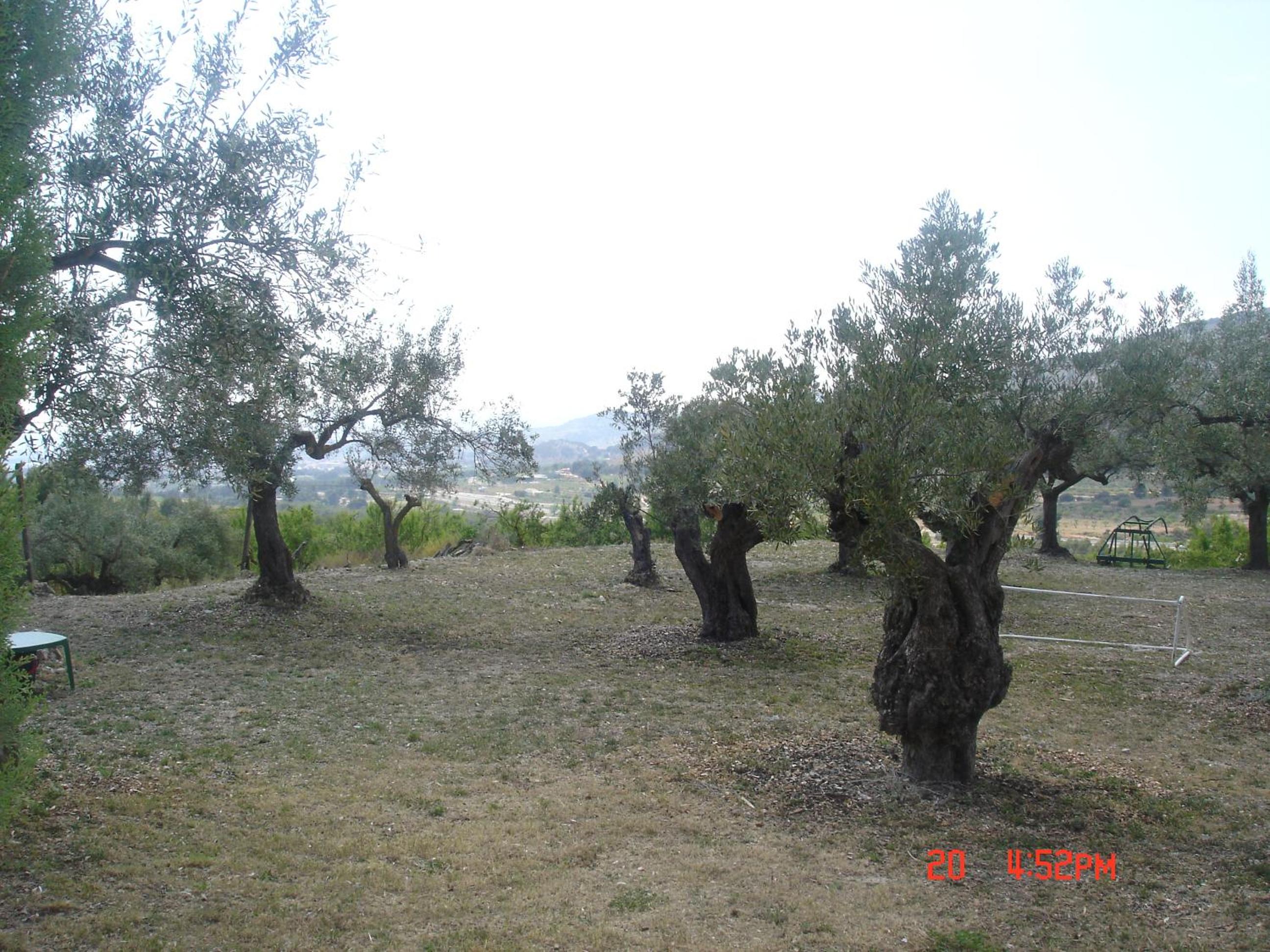 Photo 32