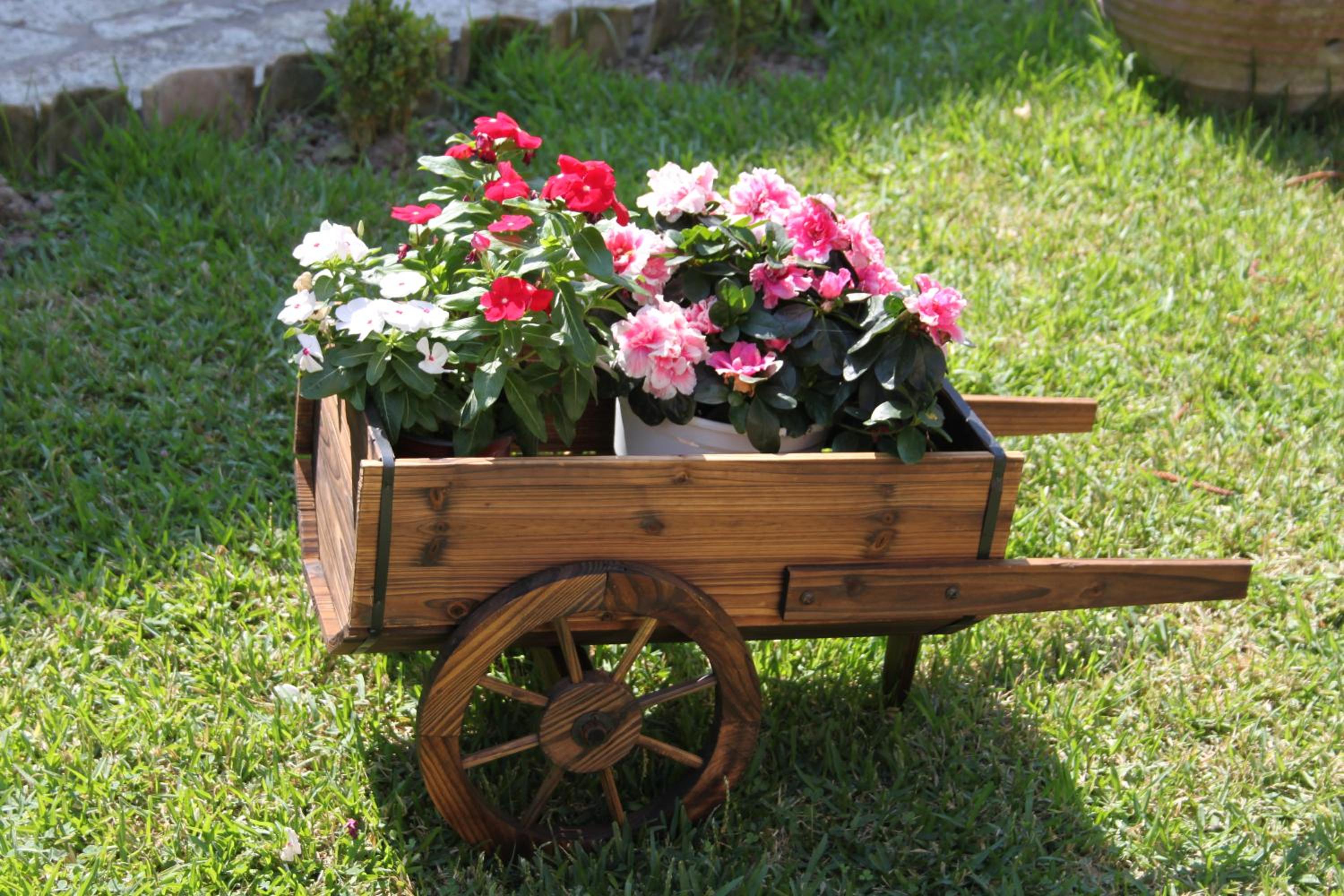 Photo 20
