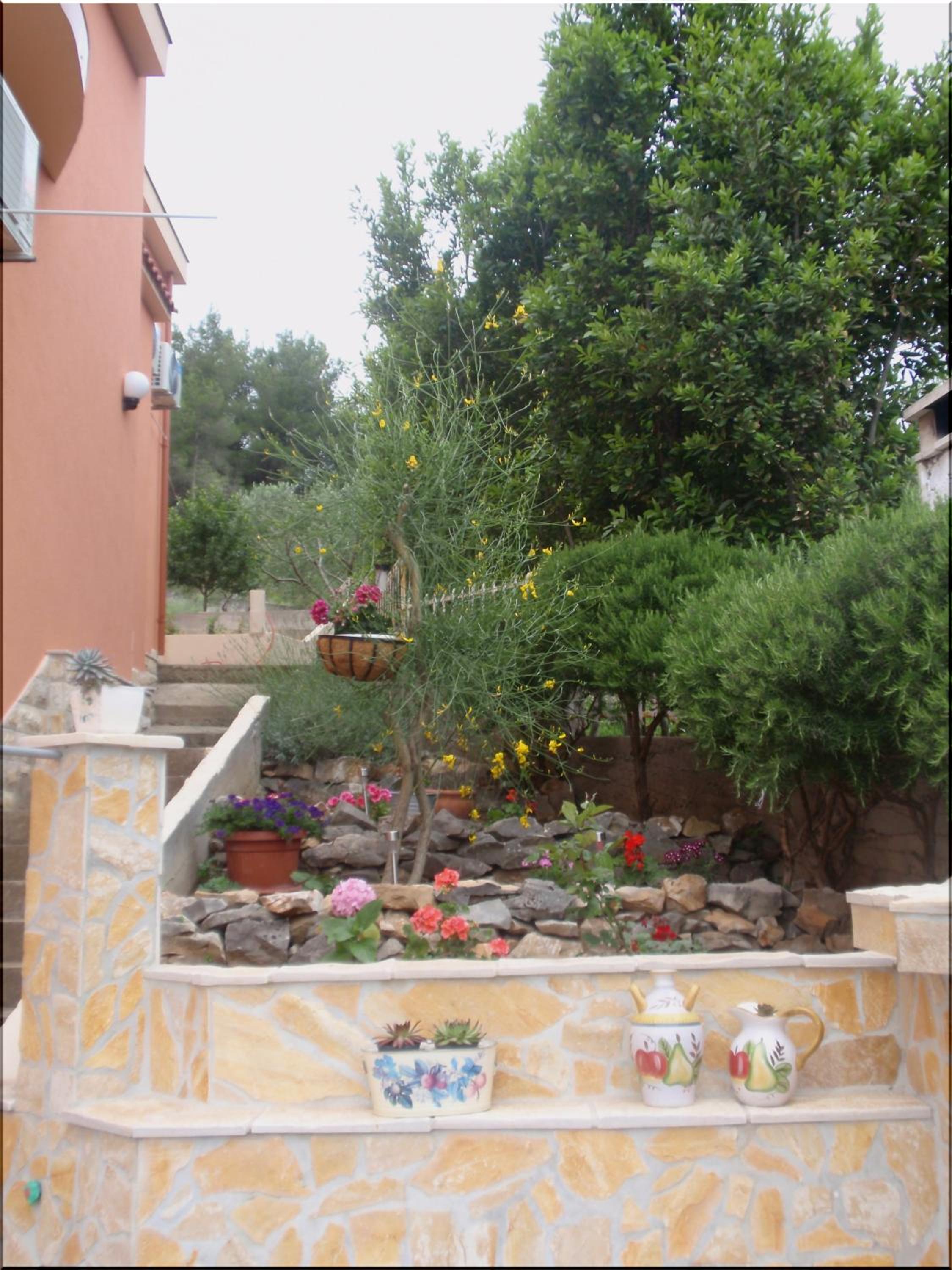 Photo 54